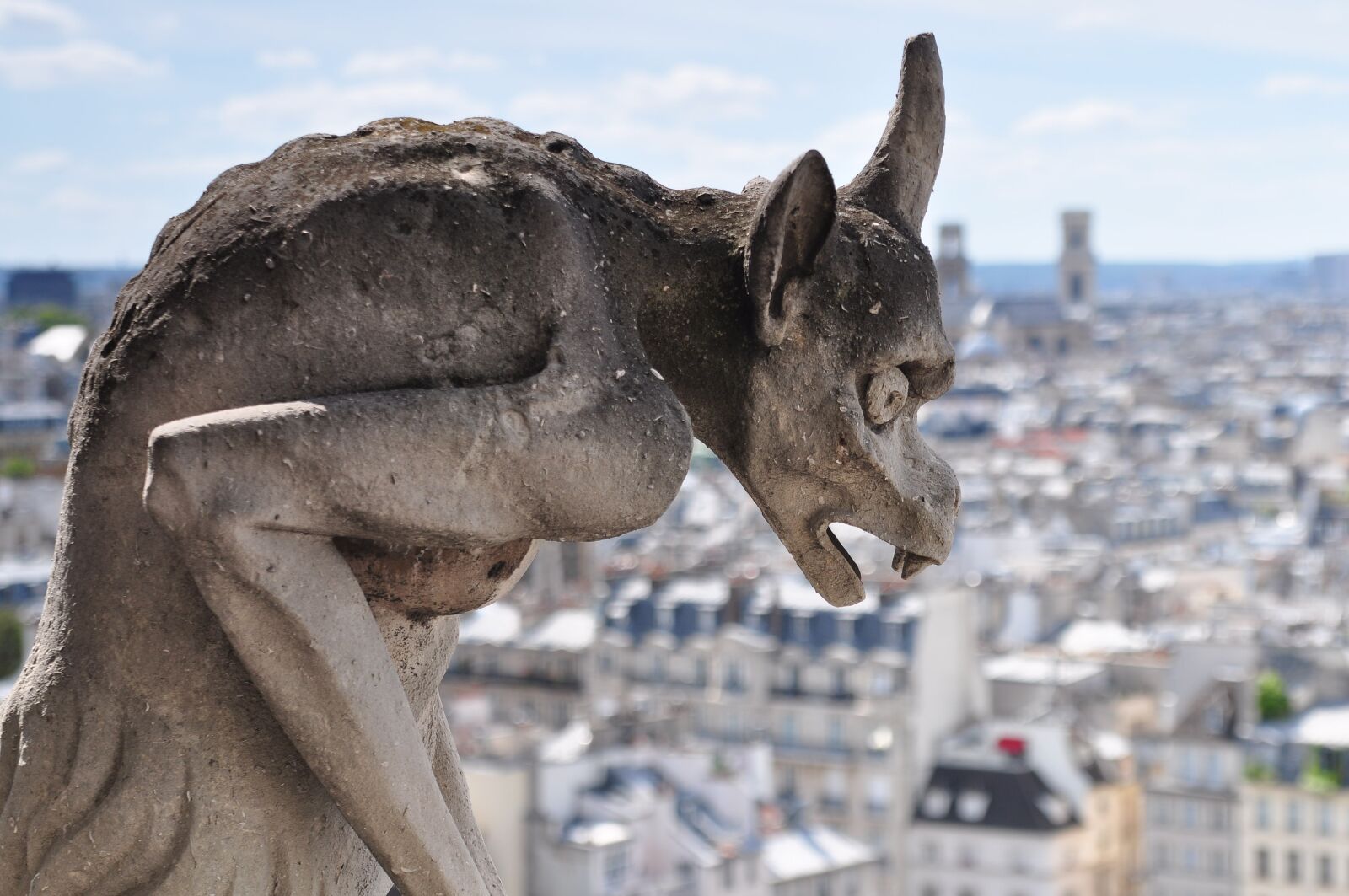 Nikon D5000 sample photo. Statue, gargoyle, notre dame photography