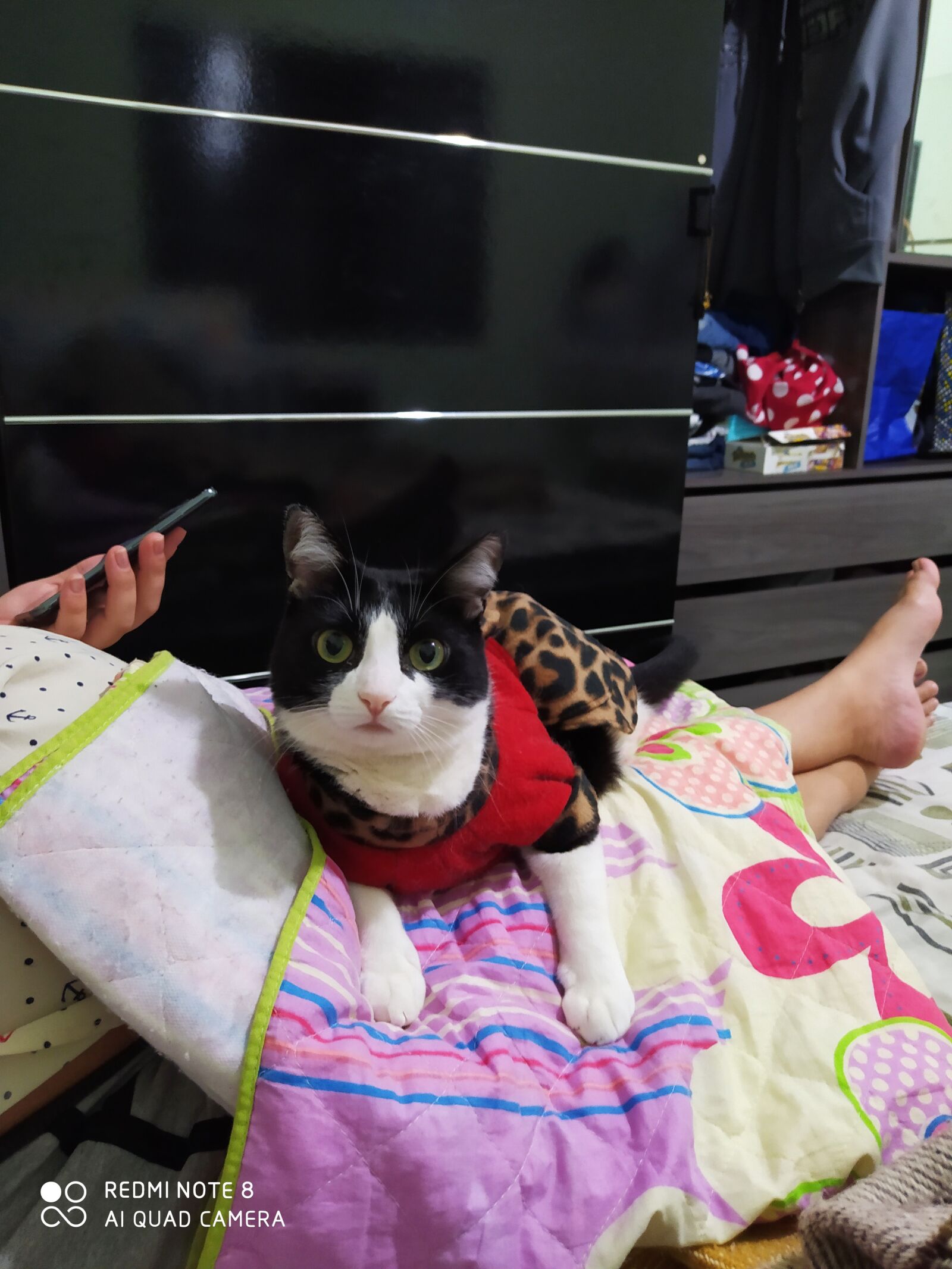 Xiaomi Redmi Note 8 sample photo
