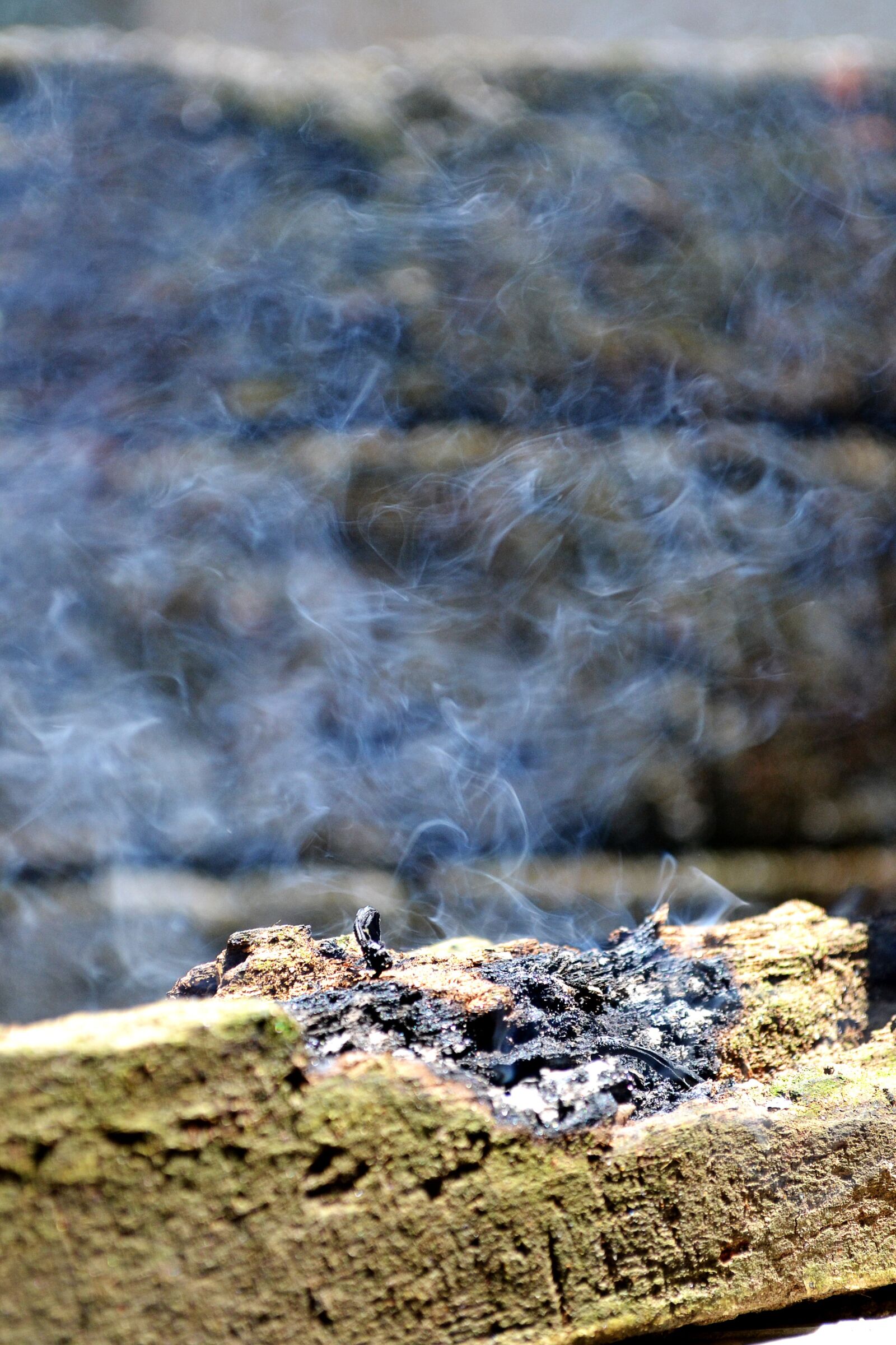 Nikon D3100 sample photo. Smoke, dispersed smoke, log photography