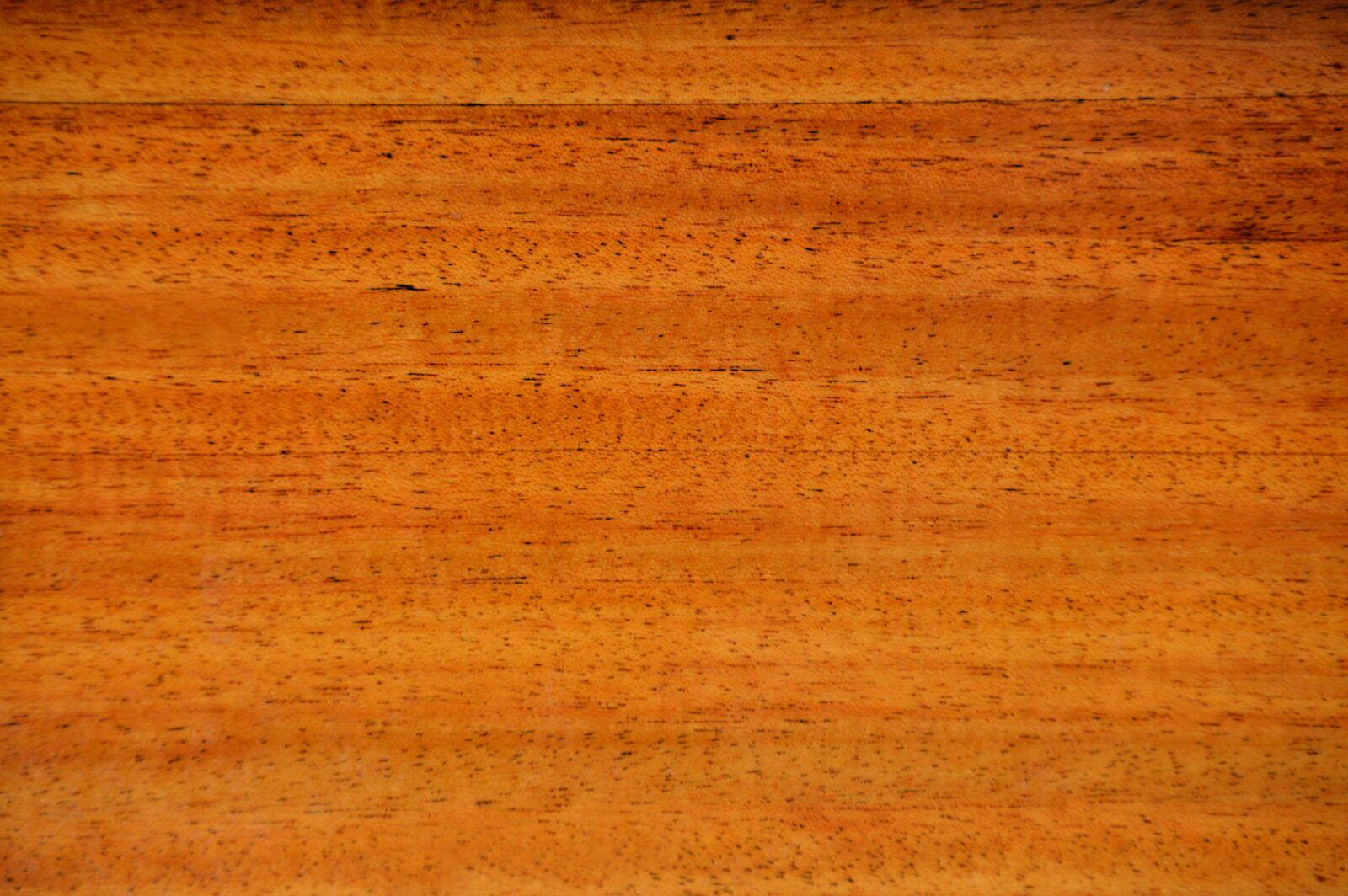 Nikon D3200 sample photo. Texture, wood grain, wood photography