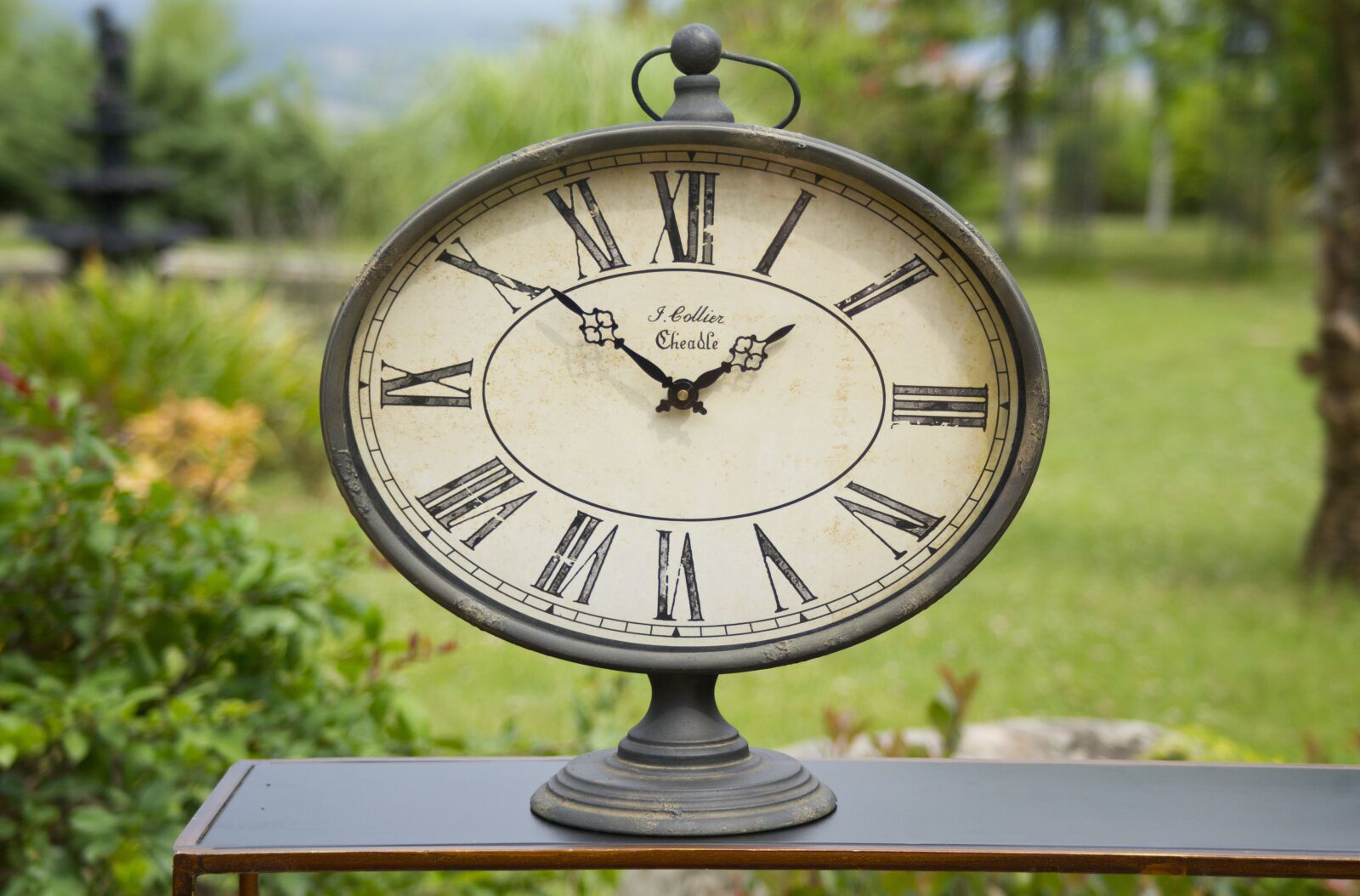 Sony Alpha DSLR-A850 sample photo. Time, table, scorpion photography