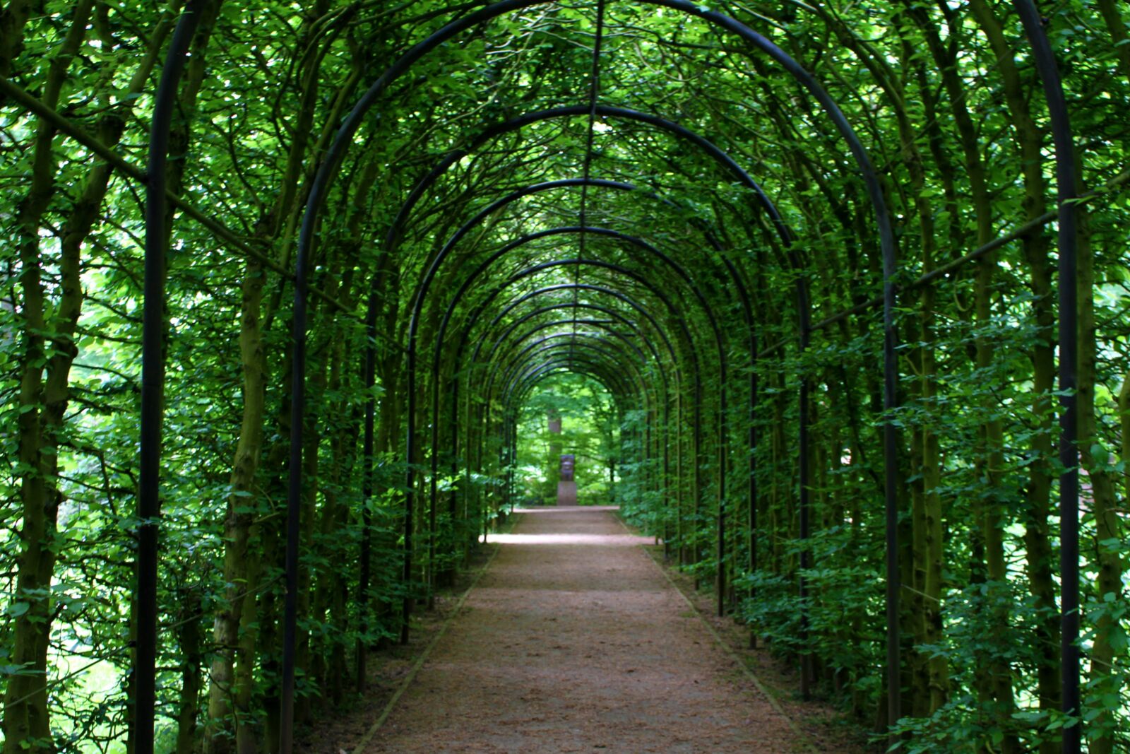 Canon EOS 700D (EOS Rebel T5i / EOS Kiss X7i) sample photo. Tunnel, tunnel of plants photography