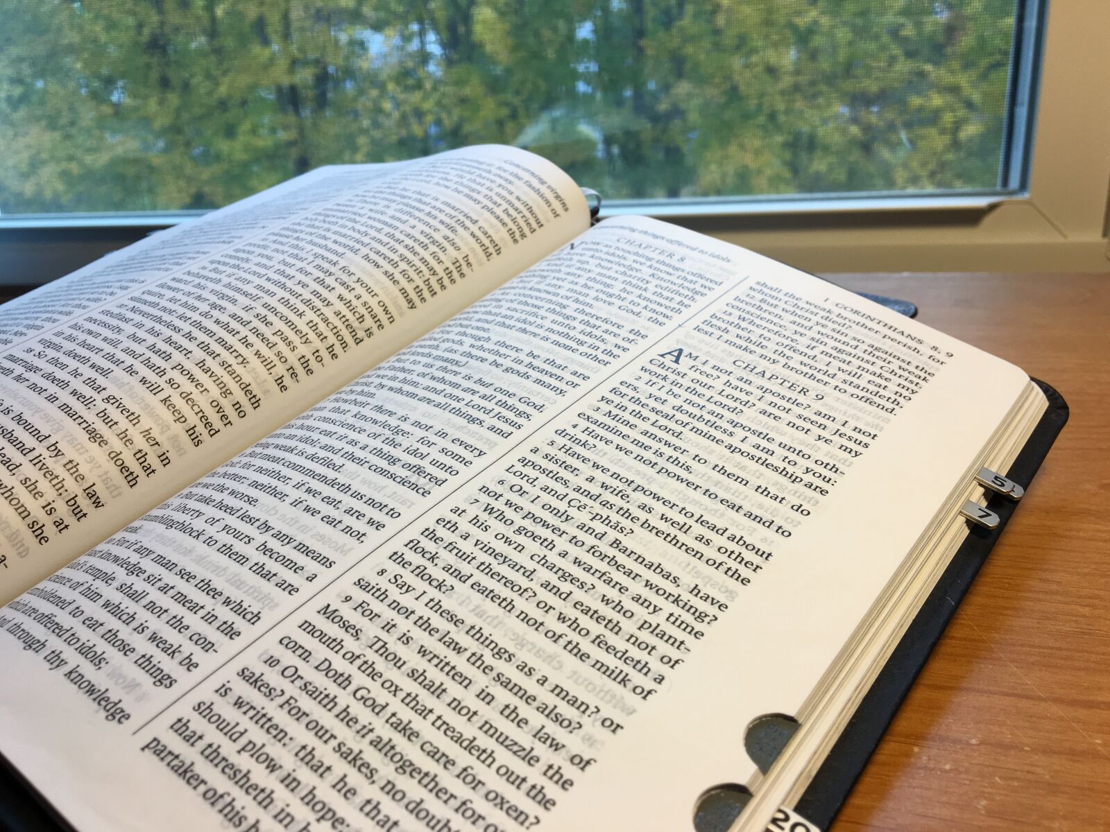 Apple iPhone 6s sample photo. Bible, spirituality, scripture photography