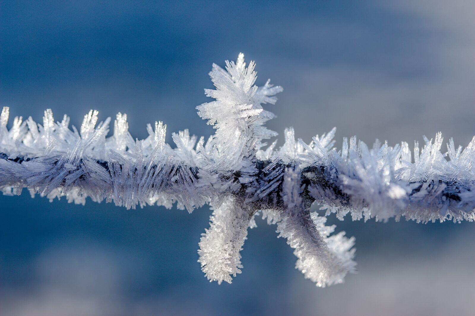Canon EOS 650D (EOS Rebel T4i / EOS Kiss X6i) sample photo. Eiskristalle, frost, frozen photography