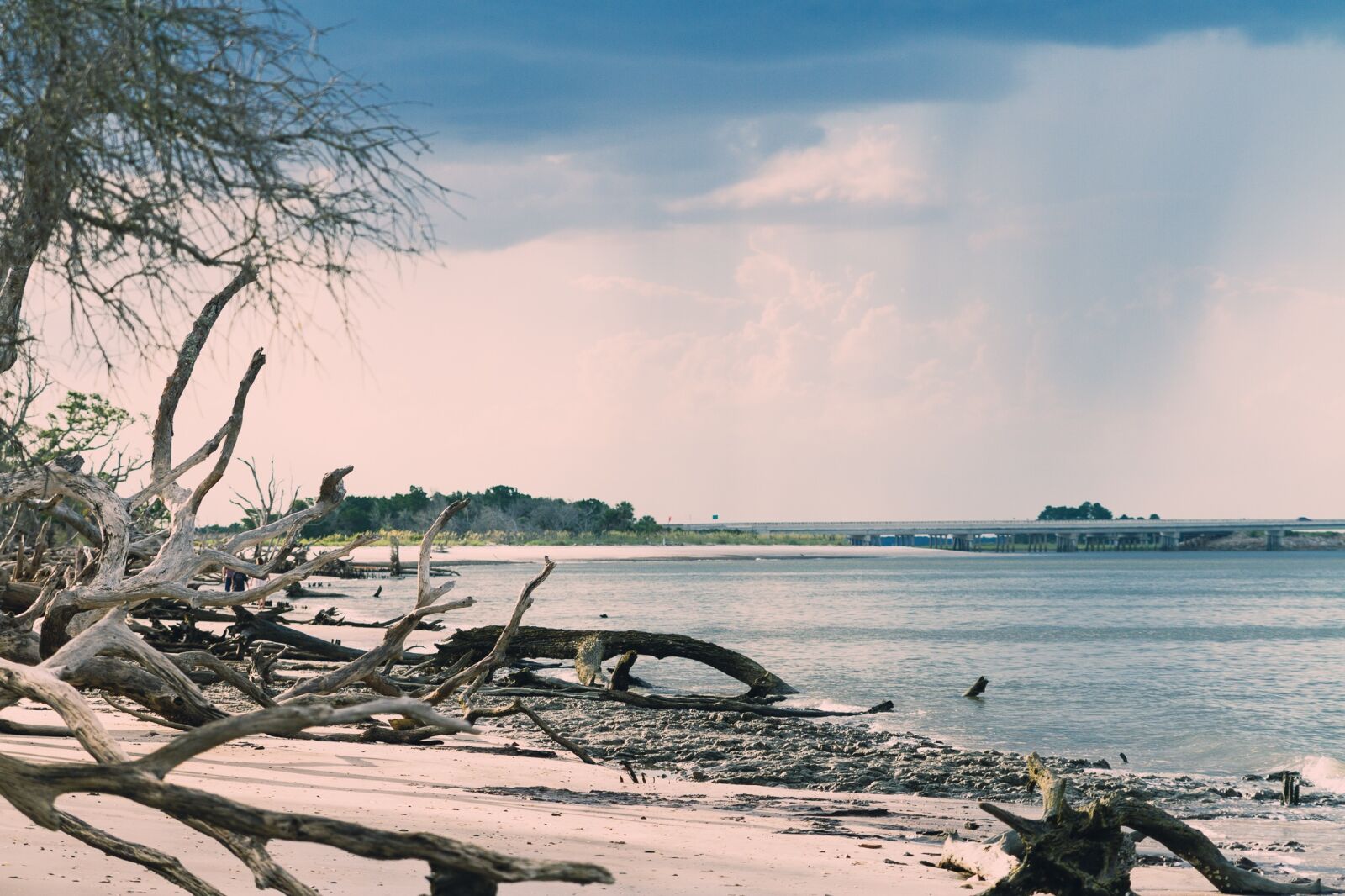 Canon EOS 7D sample photo. Beach, driftwood, storm clouds photography