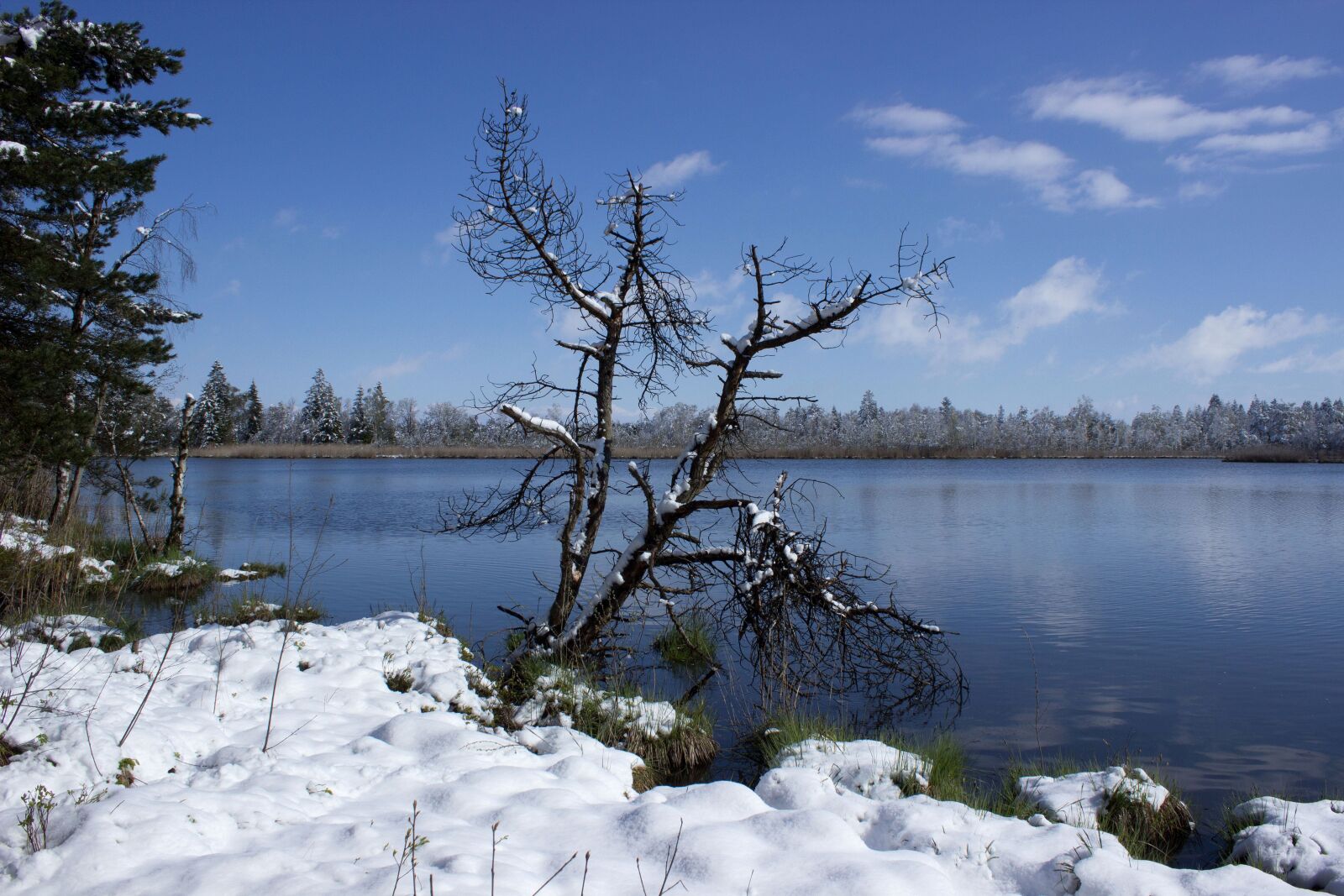 Canon EOS 600D (Rebel EOS T3i / EOS Kiss X5) sample photo. Riedsee, moor, wurzacher ried photography