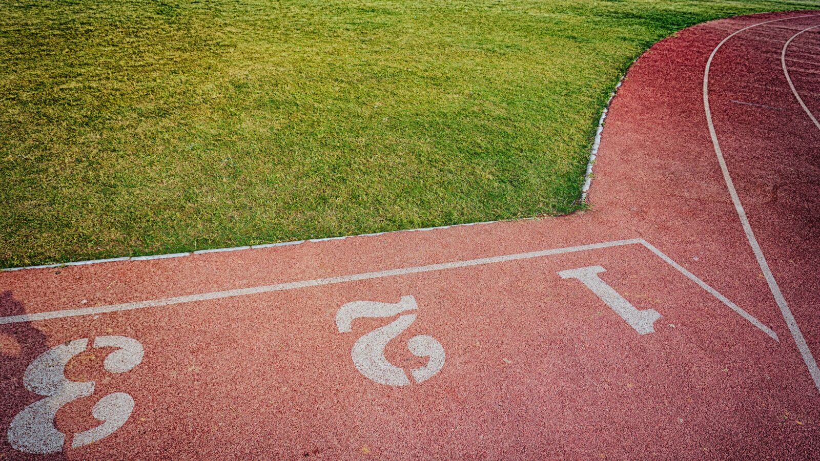 Sony a6000 sample photo. Close, up, field, grass photography