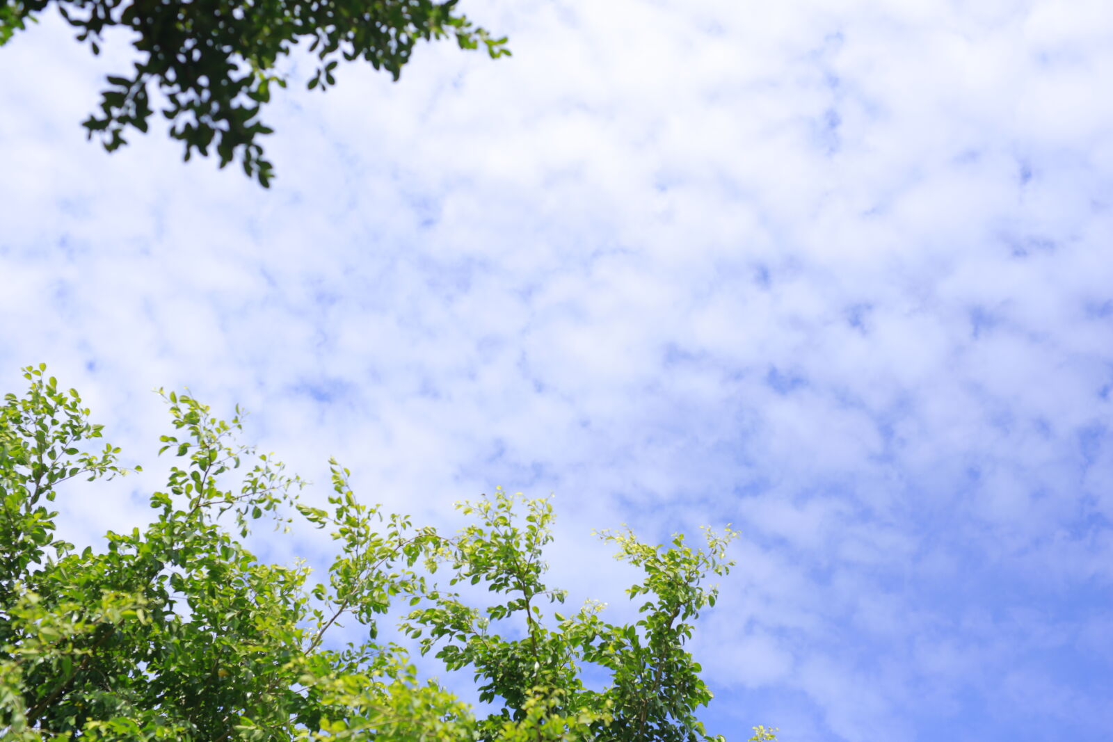 Canon EOS 6D sample photo. Blue, sky photography