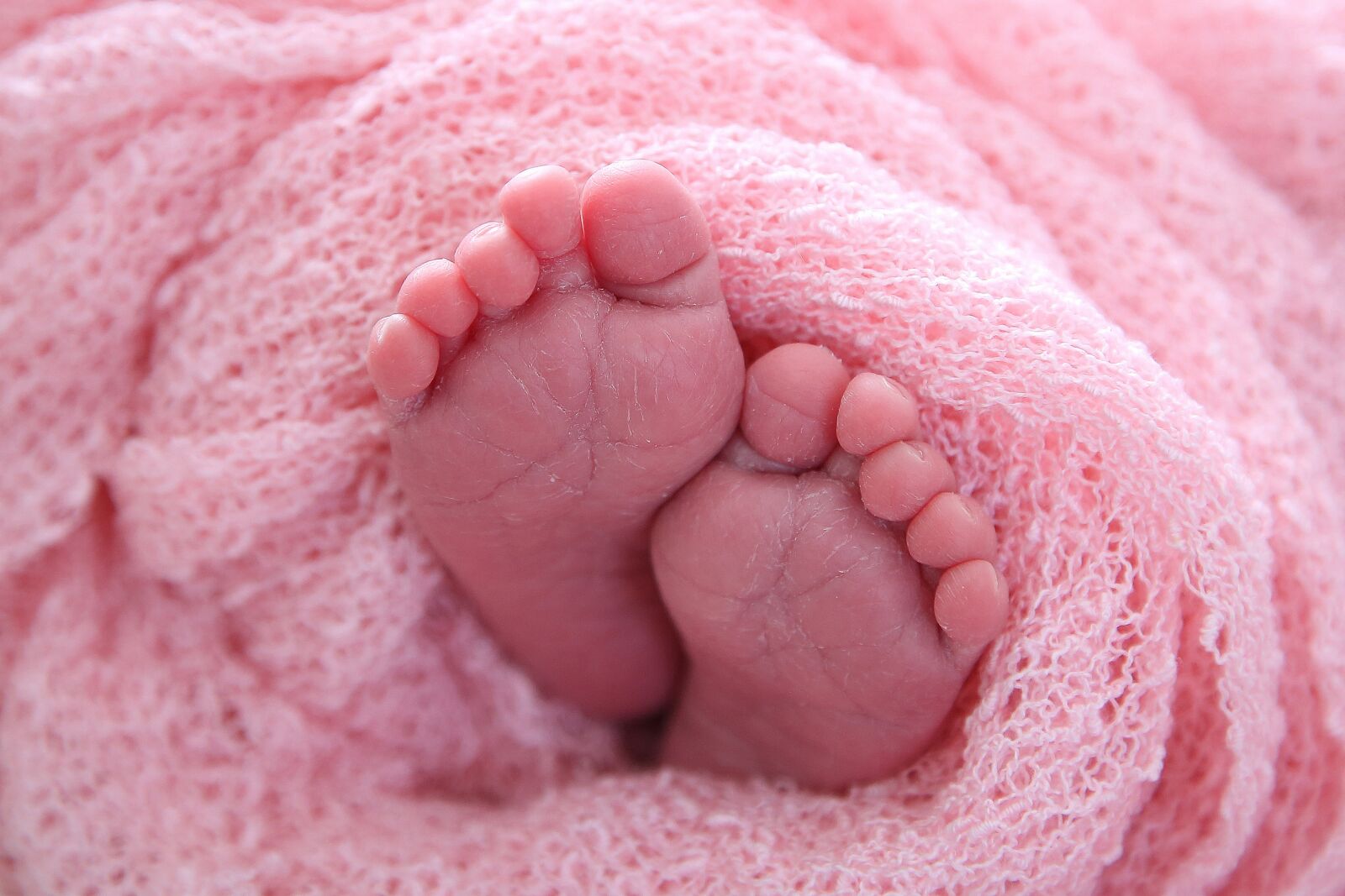 Canon EF 24-105mm F4L IS USM sample photo. Foot, close up, petit photography