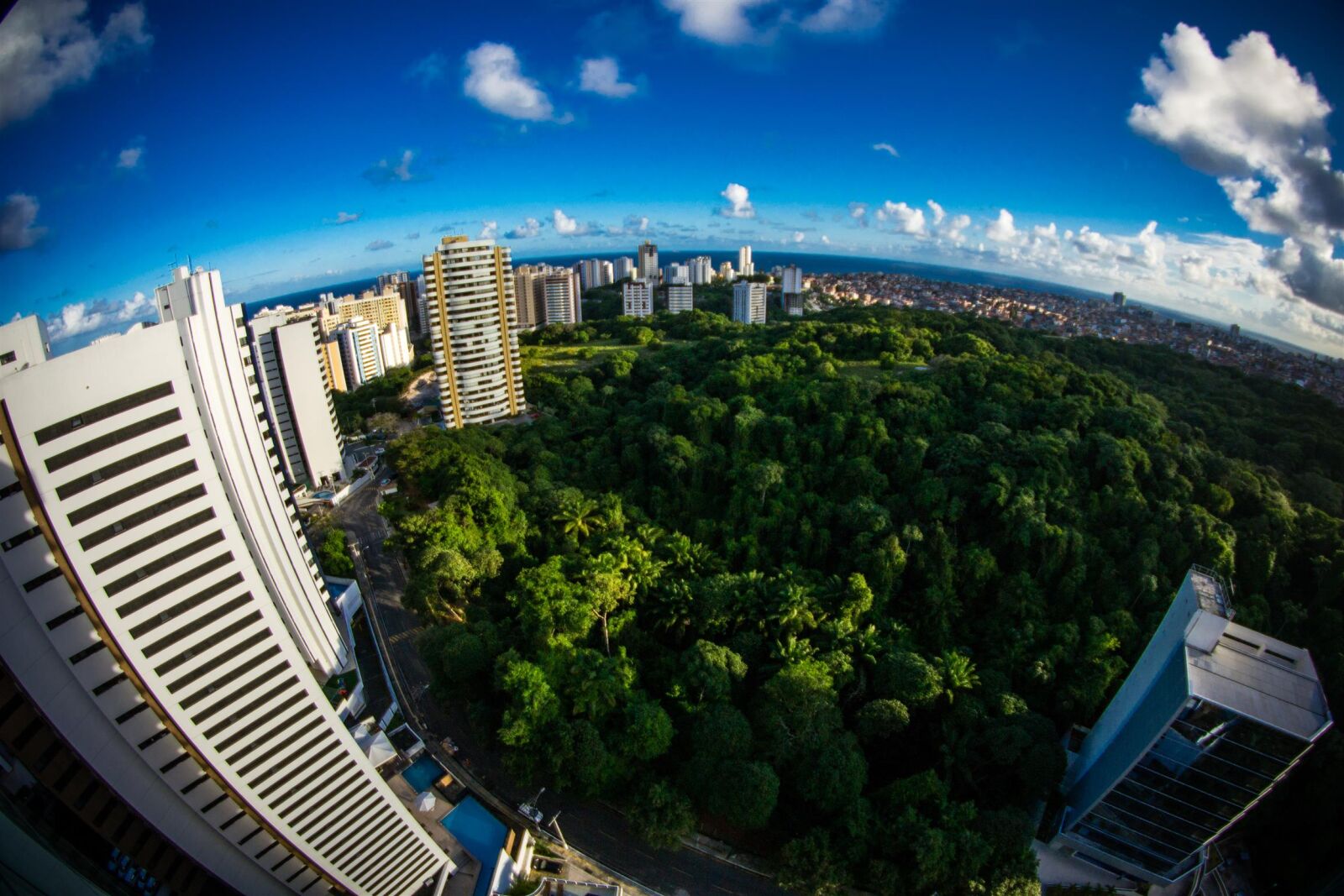 Nikon D3100 sample photo. 8mm, buildings, city, fisheye photography
