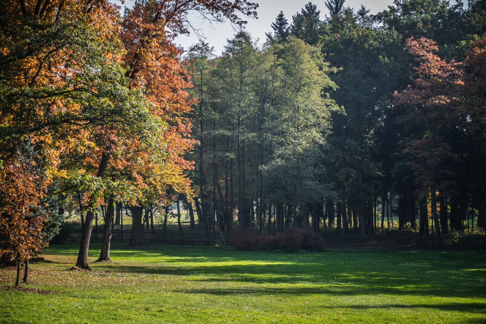 Nikon D5300 sample photo. Autumn, park, forest photography