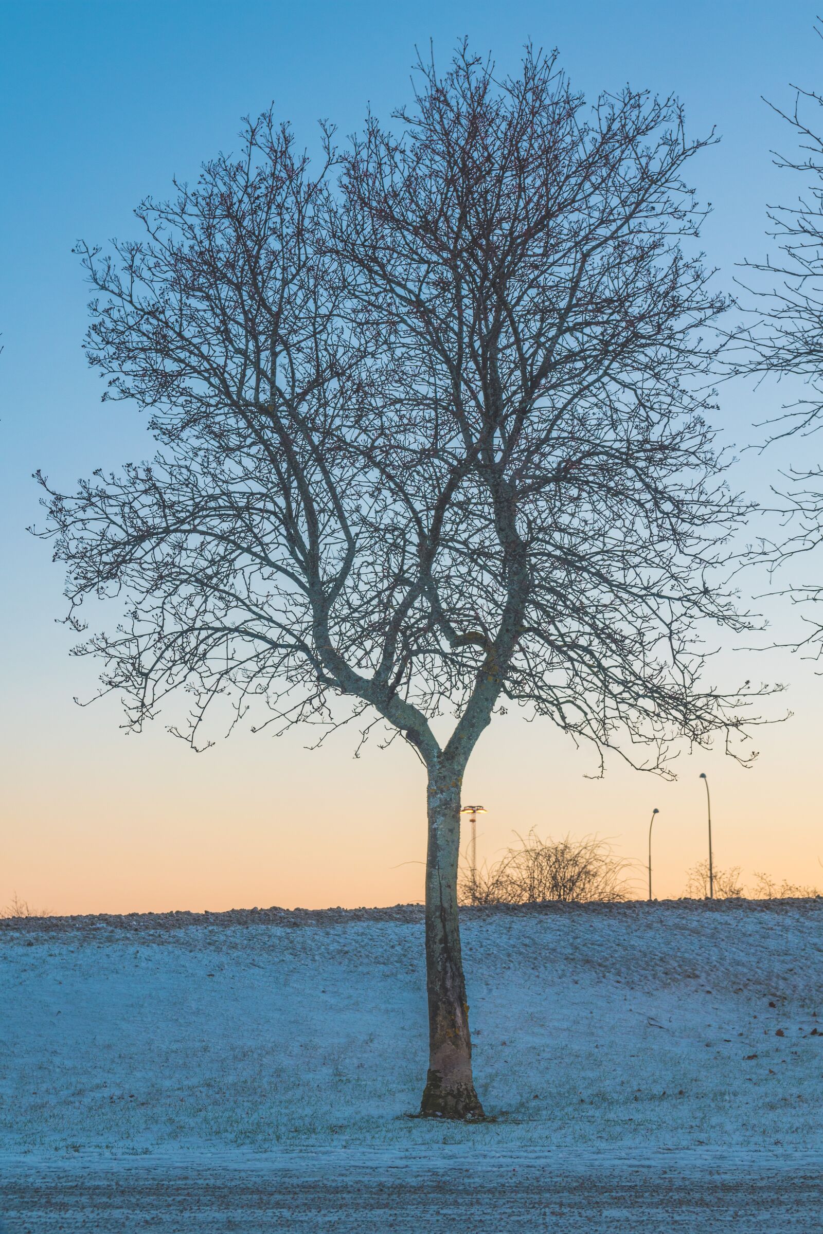 Nikon D5600 sample photo. Landscape, colorful, sunset photography