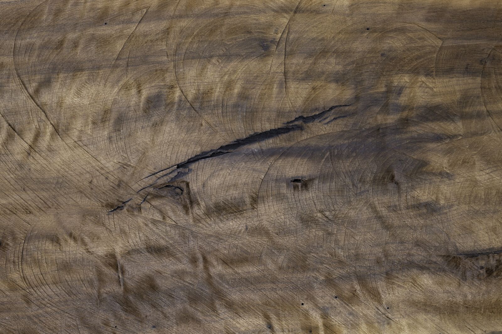 Canon EOS RP sample photo. The wood, texture, background photography