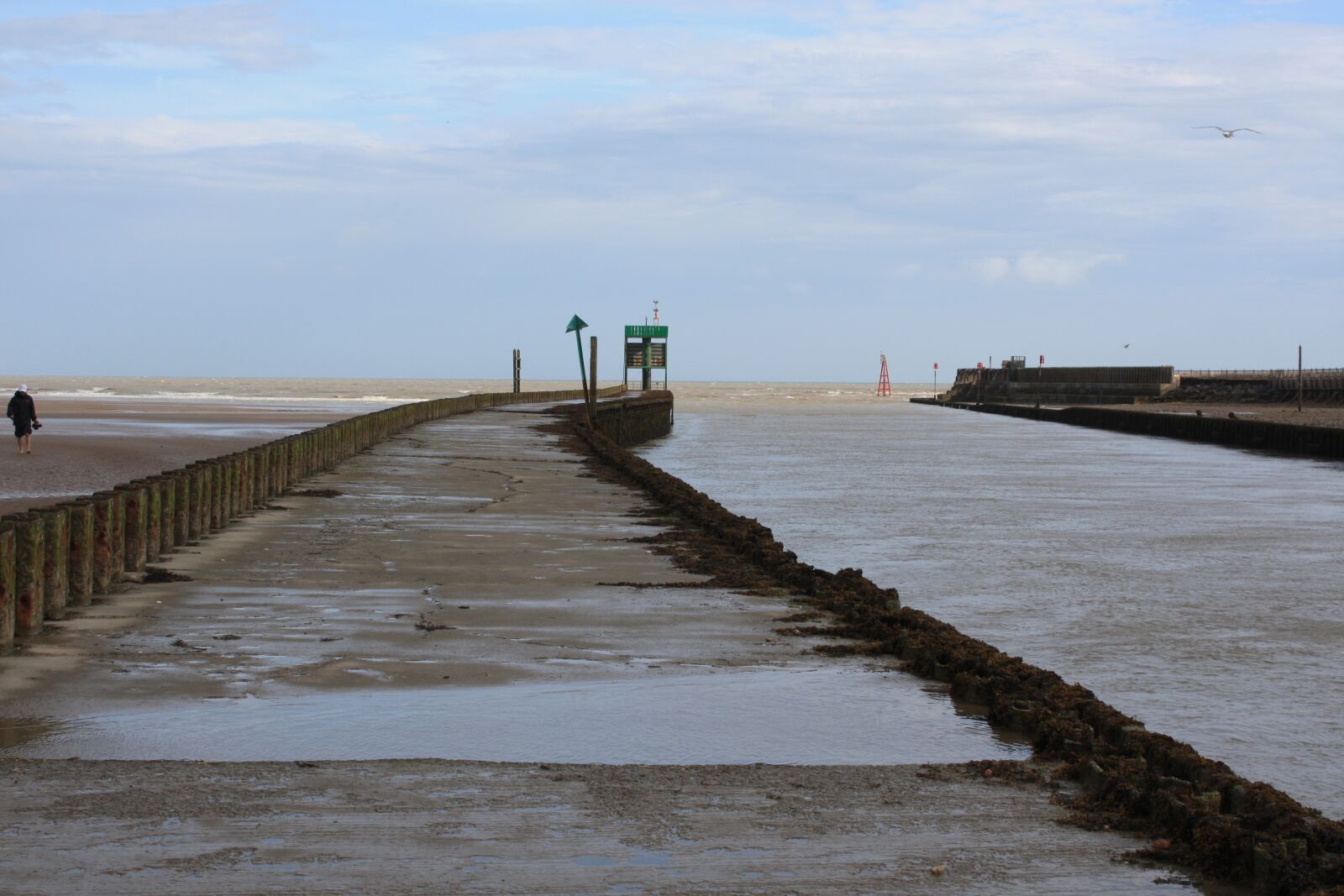 Canon EOS 450D (EOS Rebel XSi / EOS Kiss X2) sample photo. River rother, rye bay photography