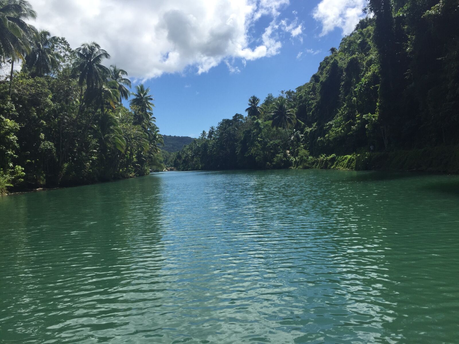 Apple iPhone 6 sample photo. Nature, river photography