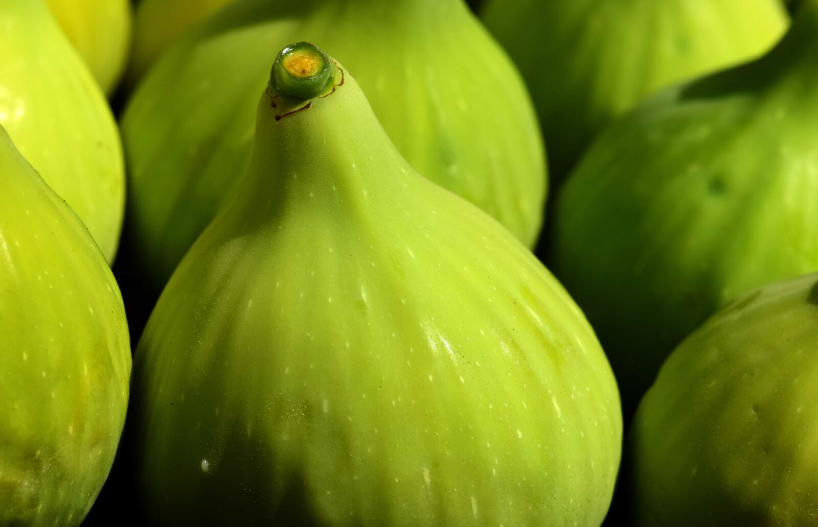 Nikon D3300 sample photo. Food, nature, fig, fruit photography