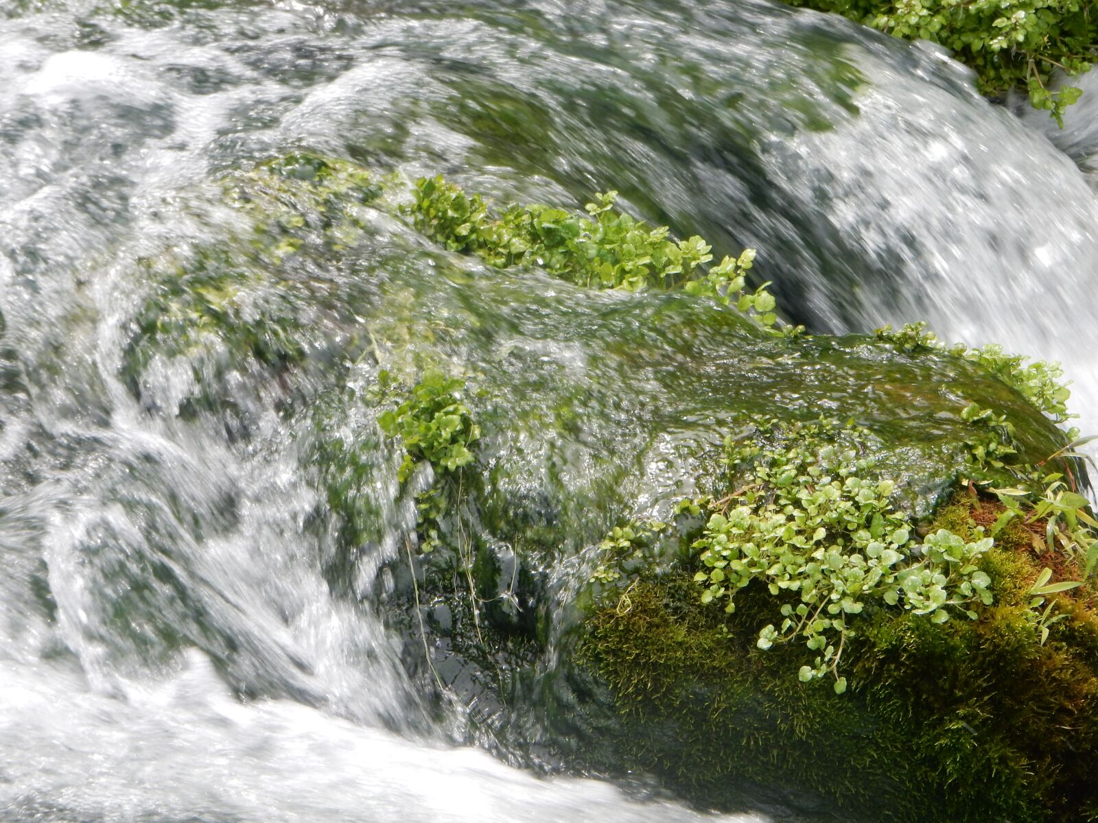 Nikon Coolpix S9700 sample photo. Water, rock, moss photography