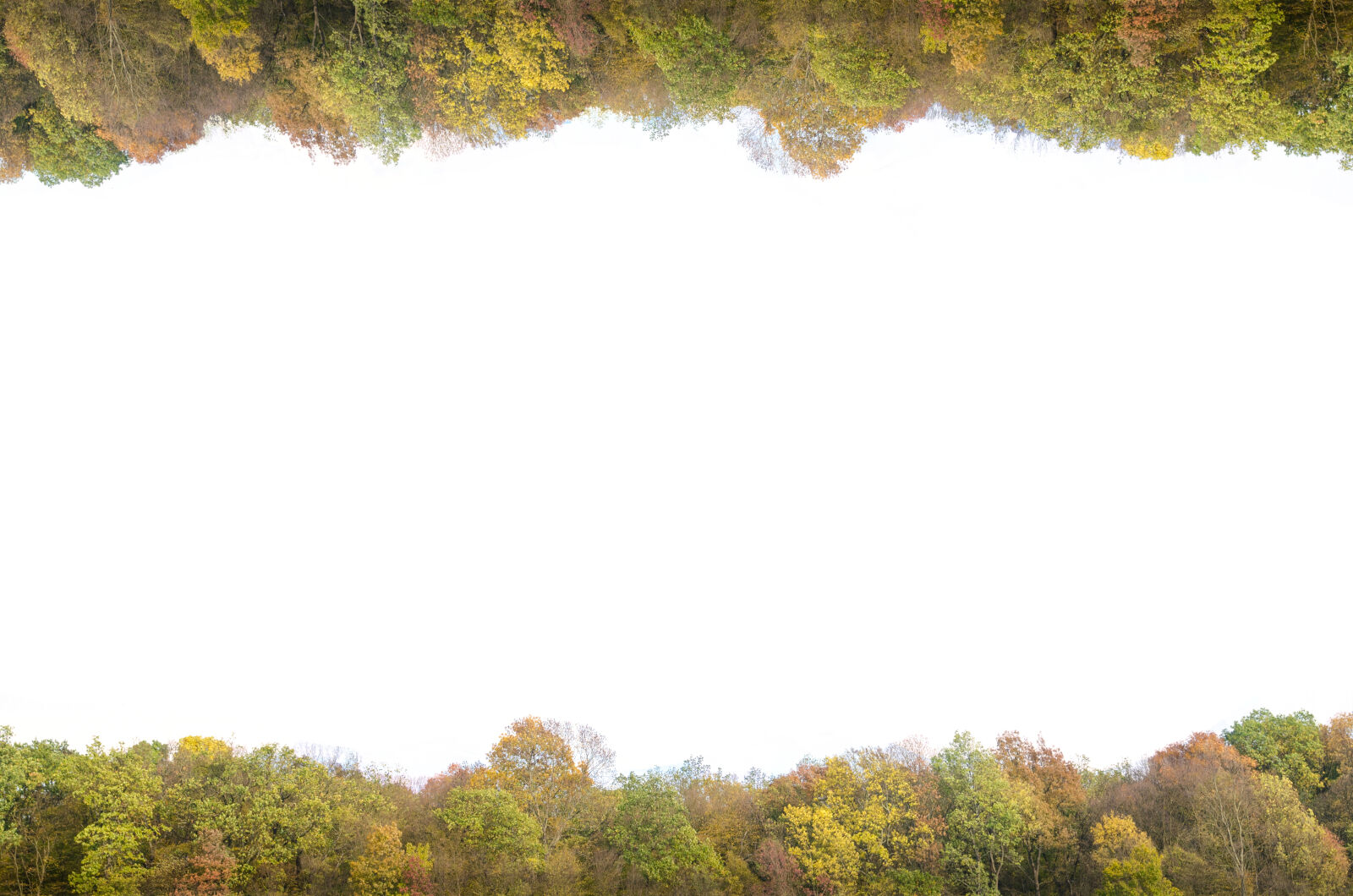 Nikon D5100 sample photo. Autumn, background, beautiful, blue photography