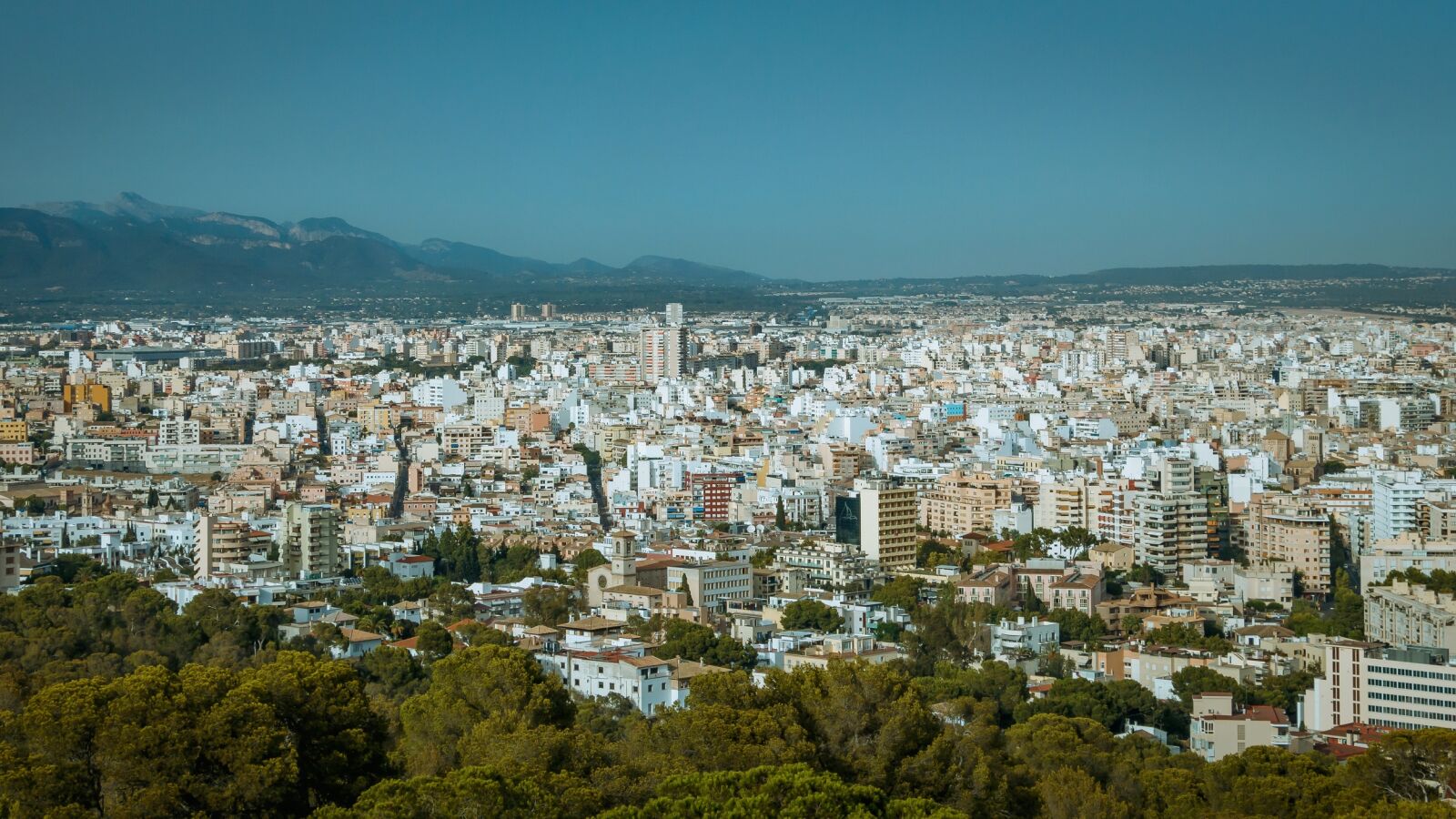 Canon EOS 70D sample photo. Palma, palma de majorca photography