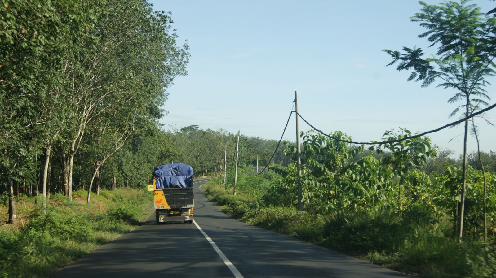 Sony Alpha DSLR-A390 sample photo. Forest, truck, vehicle photography