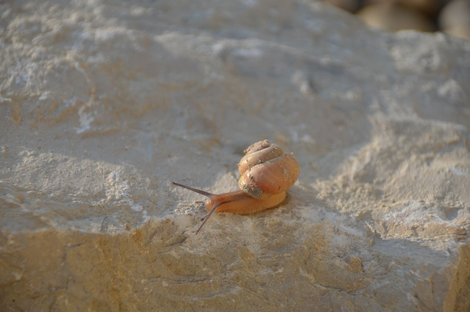 Nikon D3200 sample photo. Waters, nature, sea photography