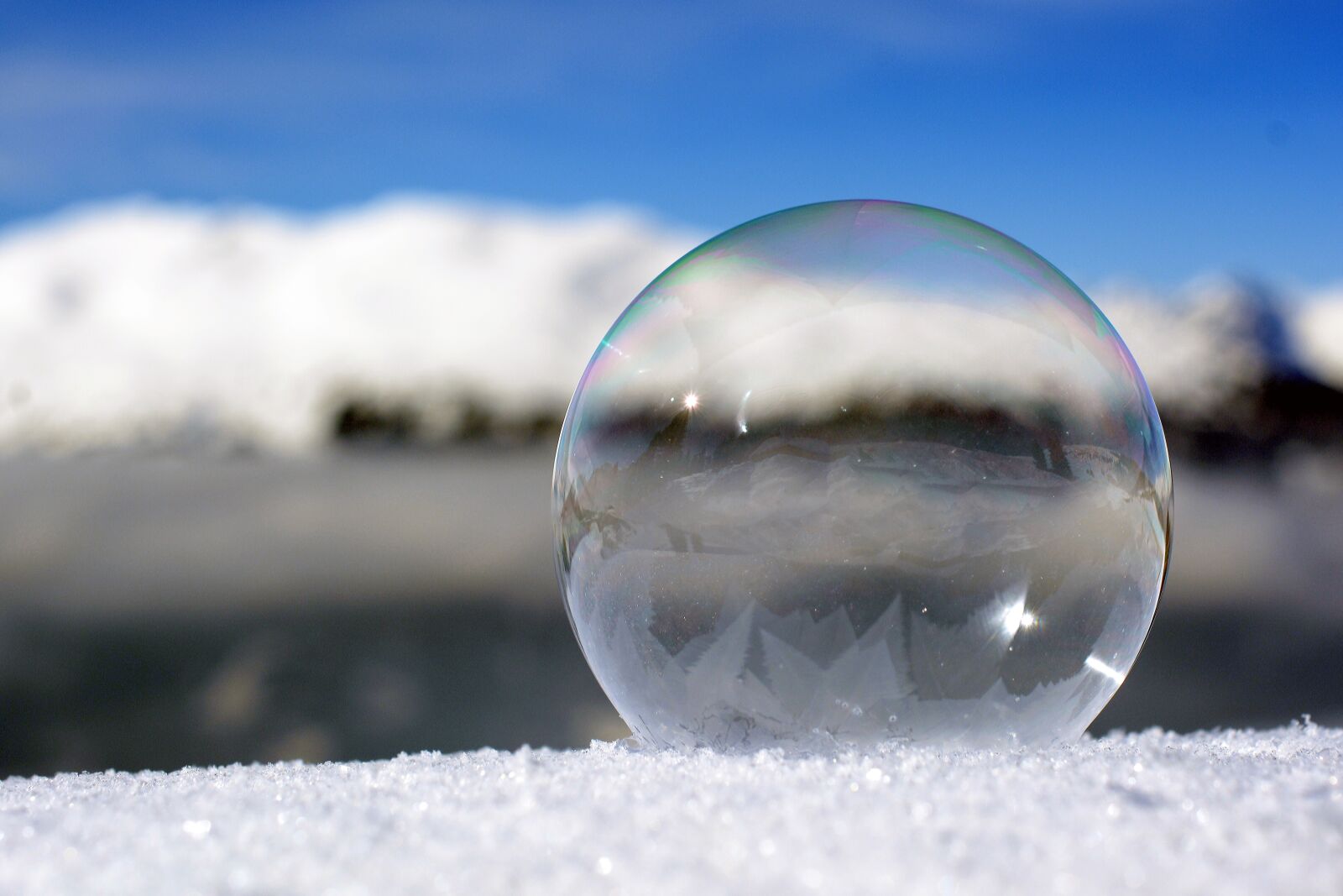 Nikon D7100 sample photo. Soap bubble, freezer, winter photography
