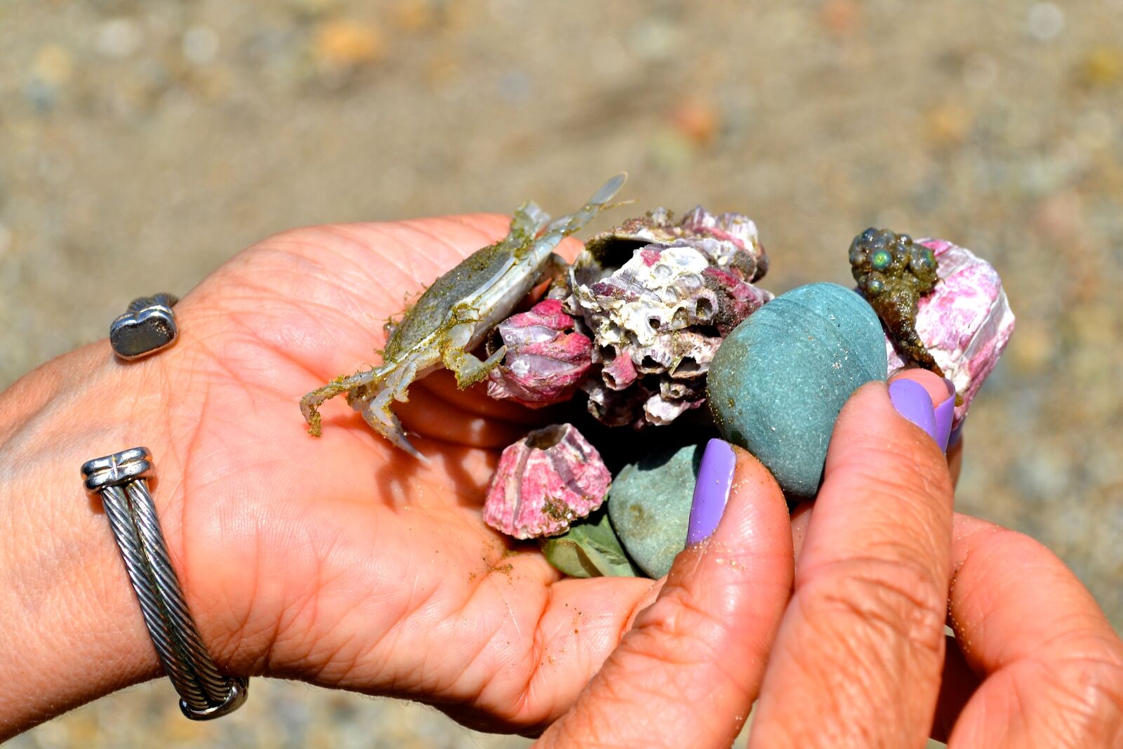 Nikon D3100 sample photo. Beach, treasures, puerto lopez photography