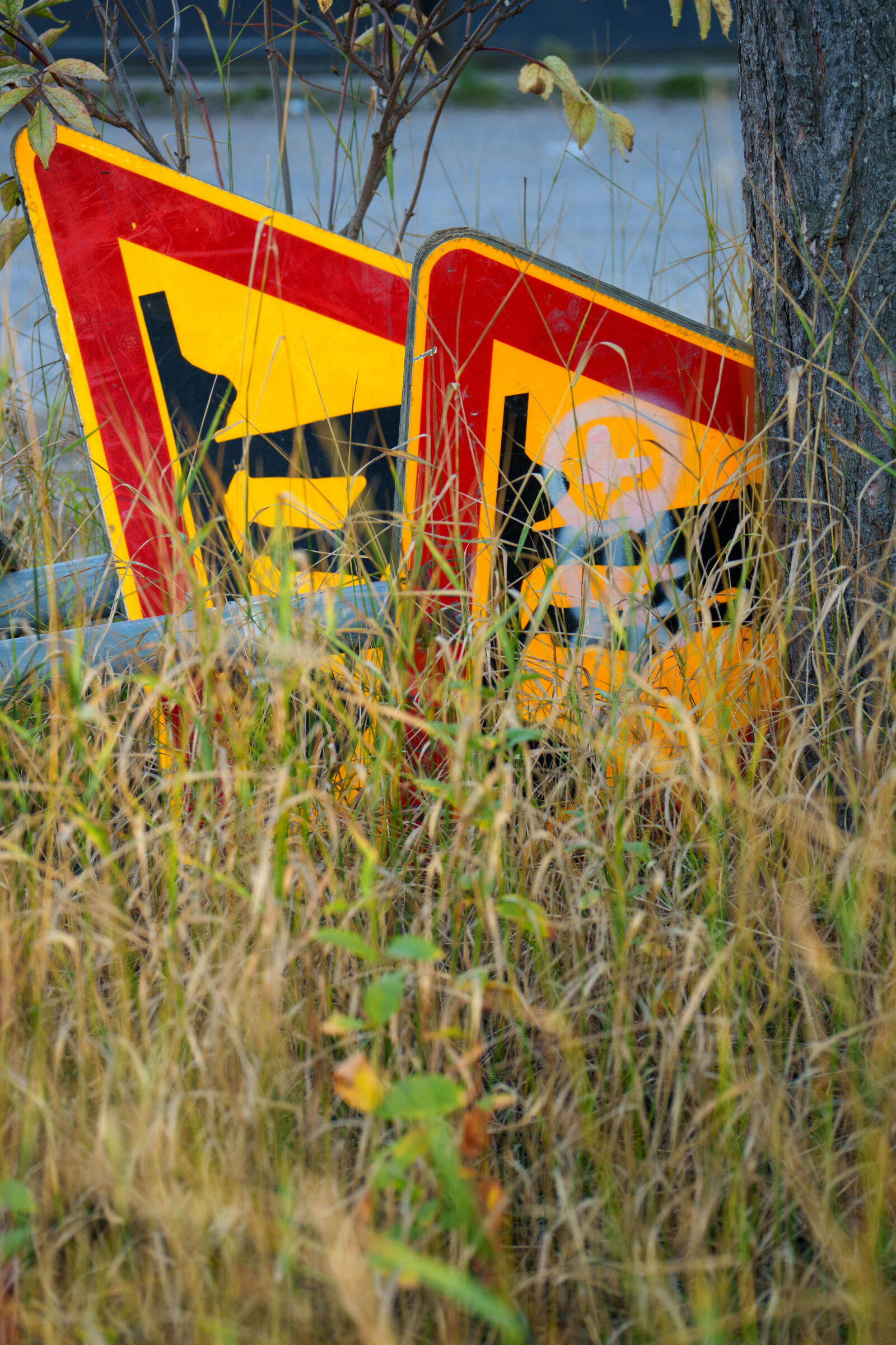 Sony a7R V sample photo. Hiding signs photography