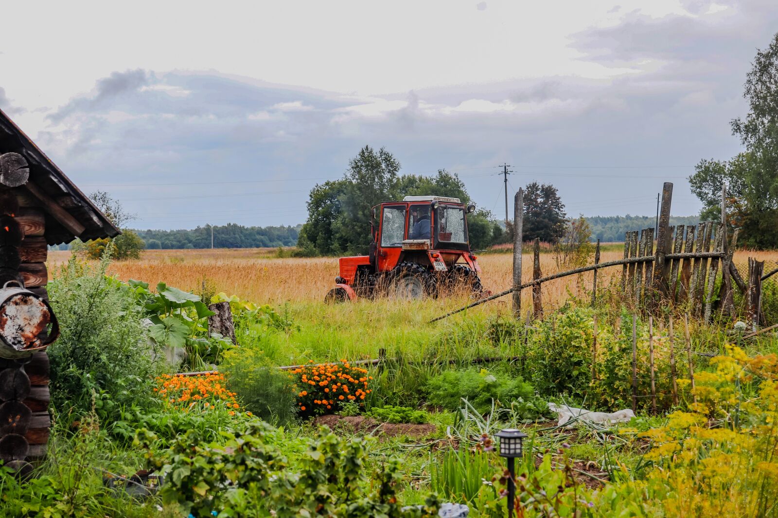 Canon EOS 200D (EOS Rebel SL2 / EOS Kiss X9) sample photo. Village, dacha, landscape photography