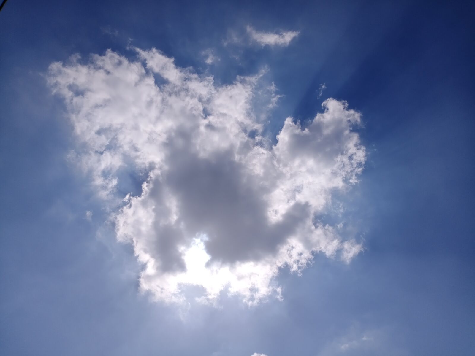 vivo 1907_19 sample photo. Nature, tree, sky photography