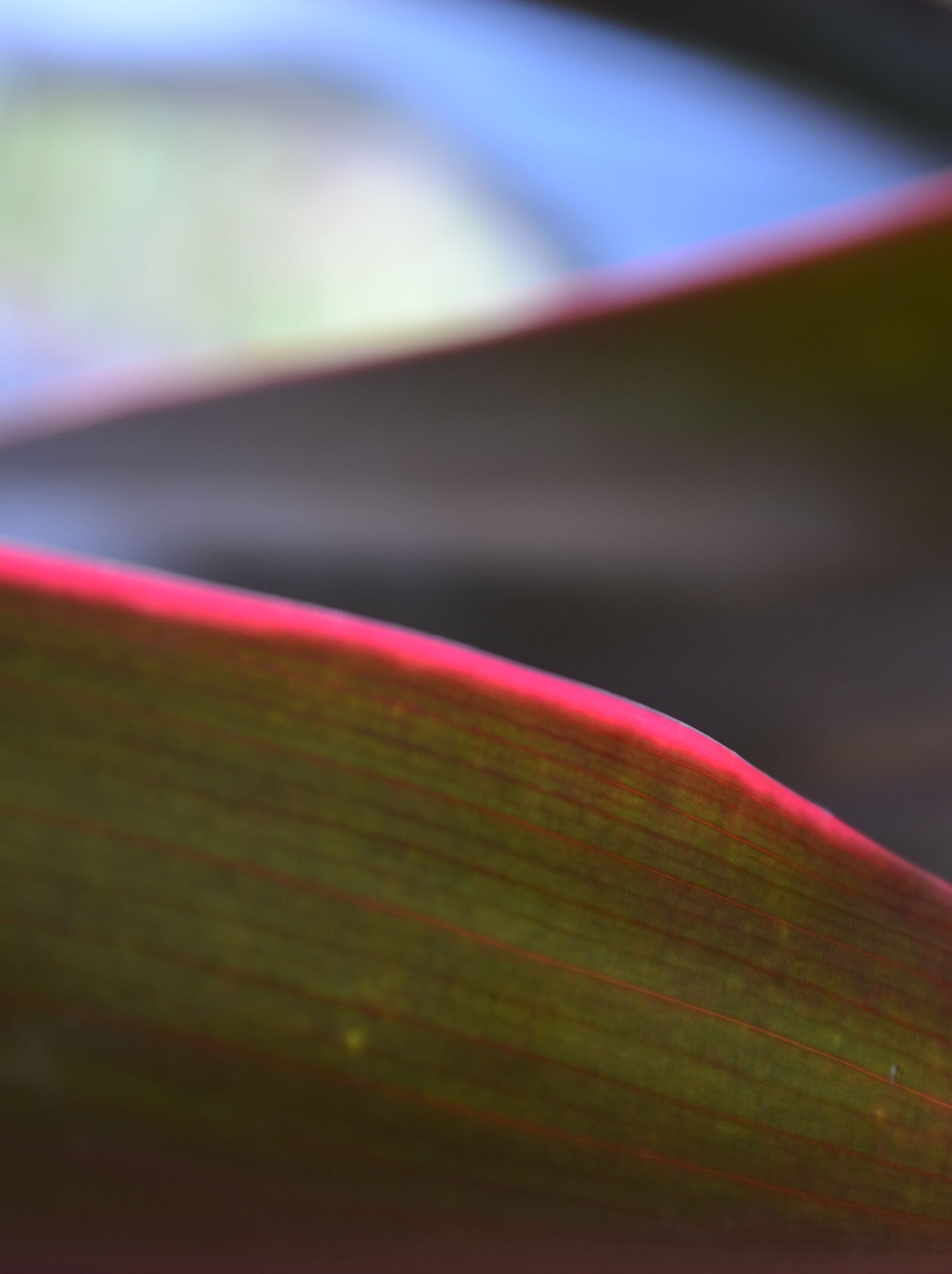 Nikon D5100 sample photo
