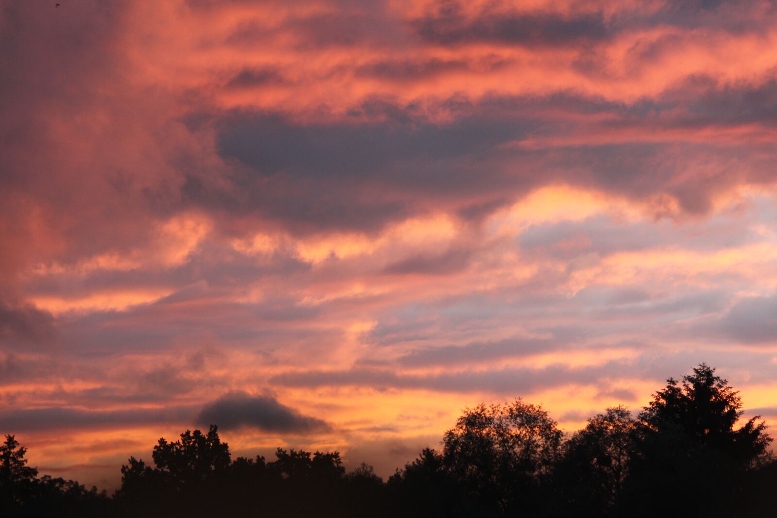 Canon EOS 500D (EOS Rebel T1i / EOS Kiss X3) sample photo. Nature, sky, sunset photography