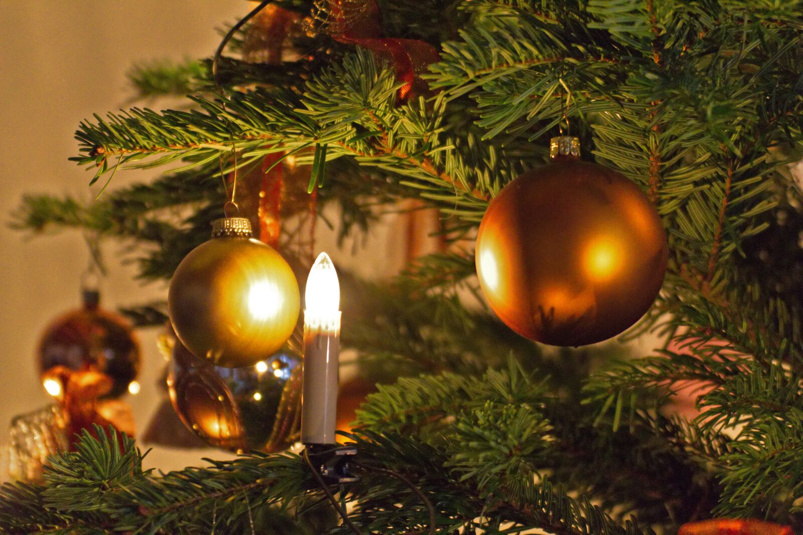 Canon EOS 1300D (EOS Rebel T6 / EOS Kiss X80) sample photo. Christmas, christmas tree, shining photography