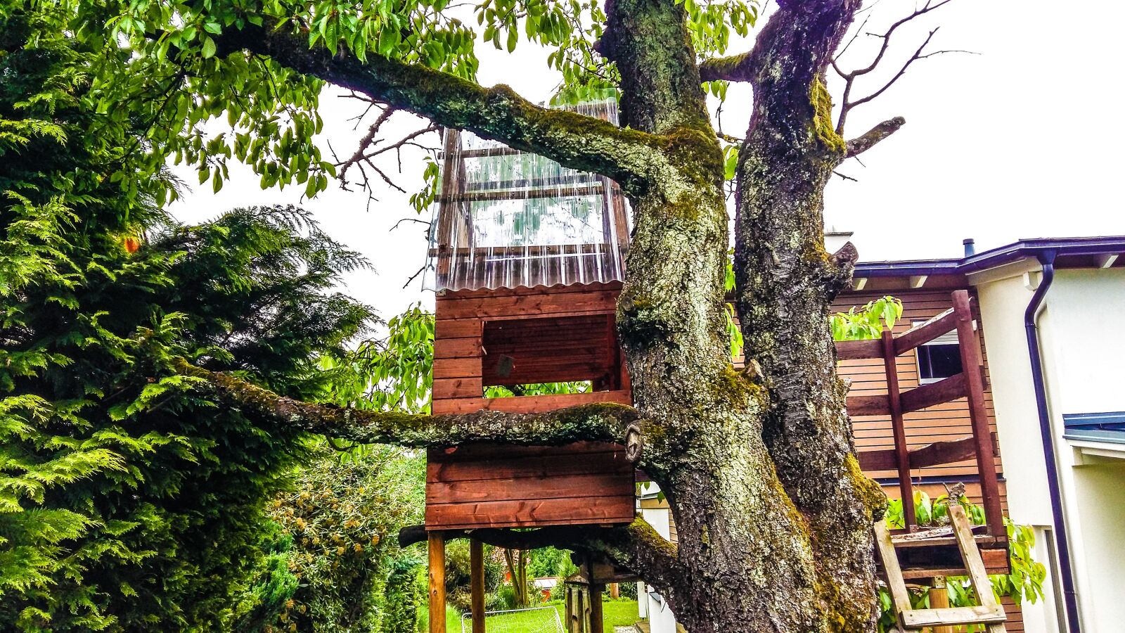 Samsung Galaxy A5 sample photo. Tree, treehouse, nature photography