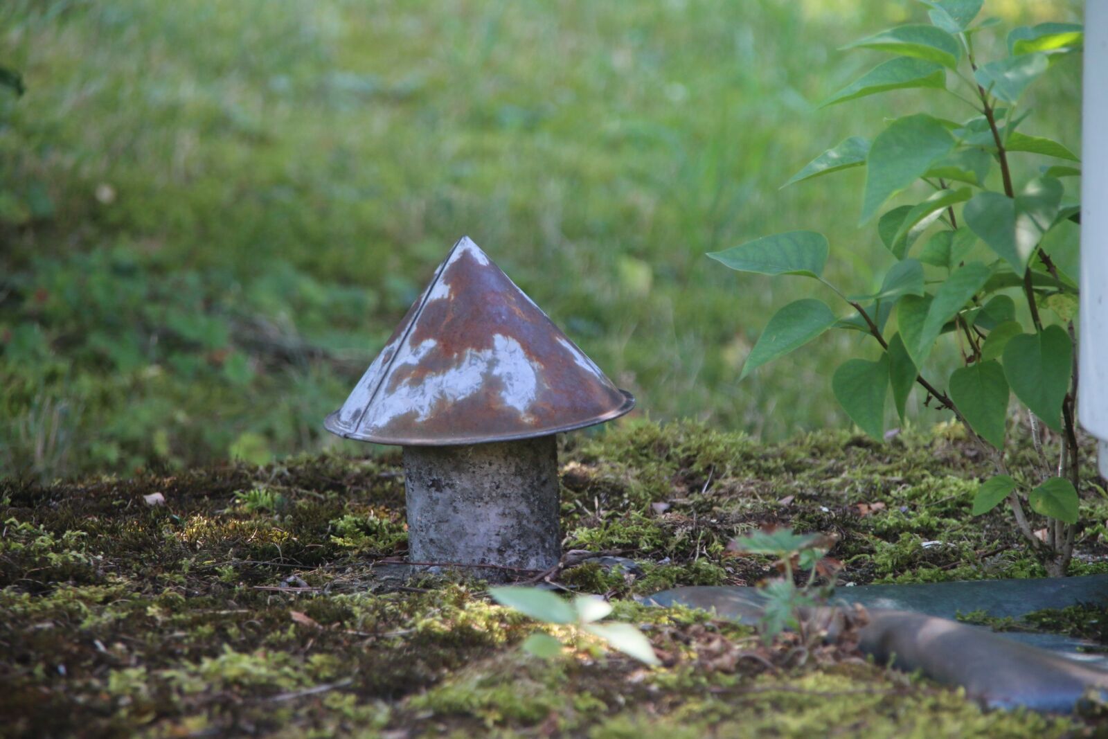 Canon EOS 70D sample photo. Vent, ventilation pipe, old photography