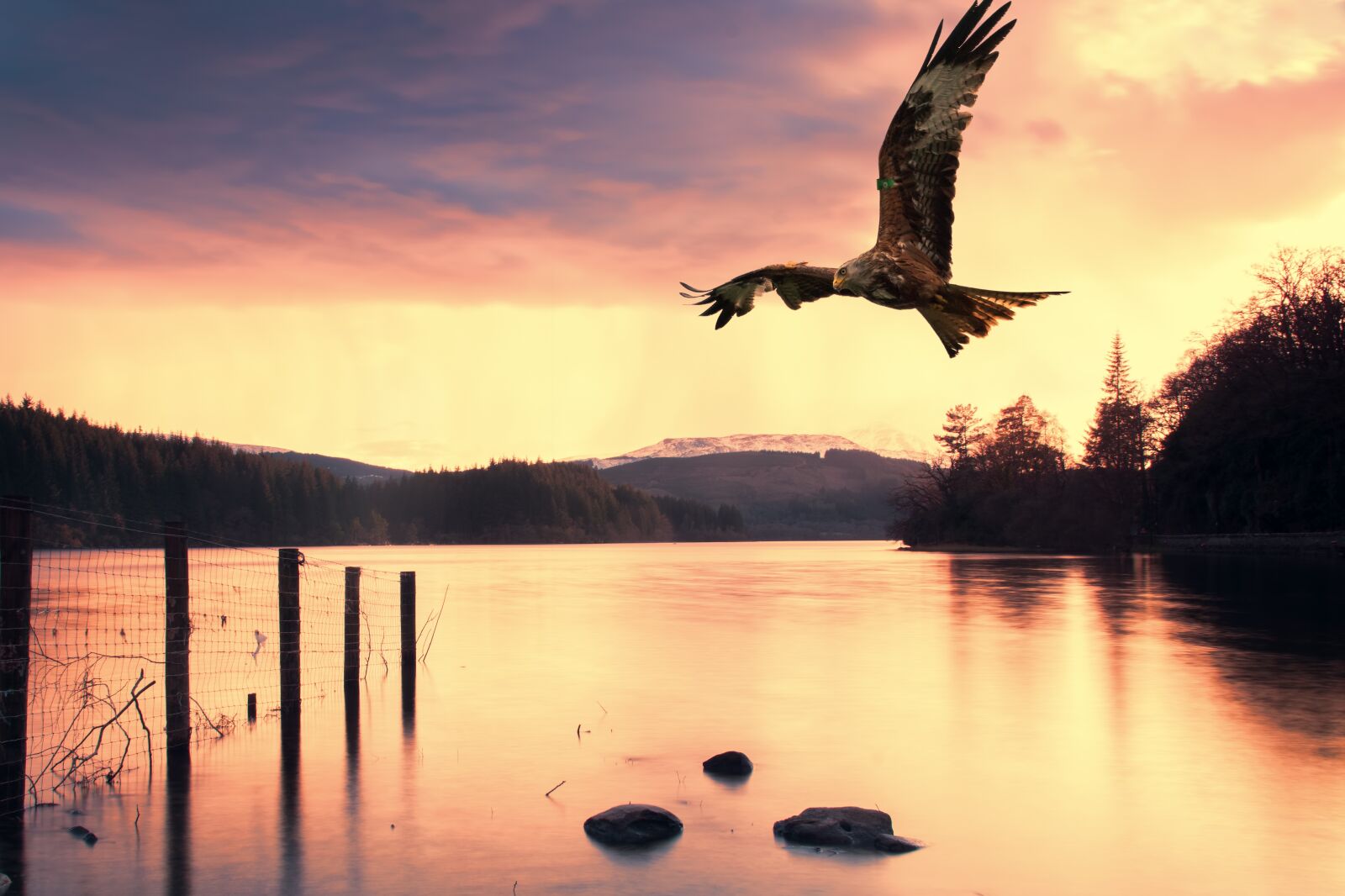 Sony ILCA-77M2 sample photo. Sunset, water, dawn photography