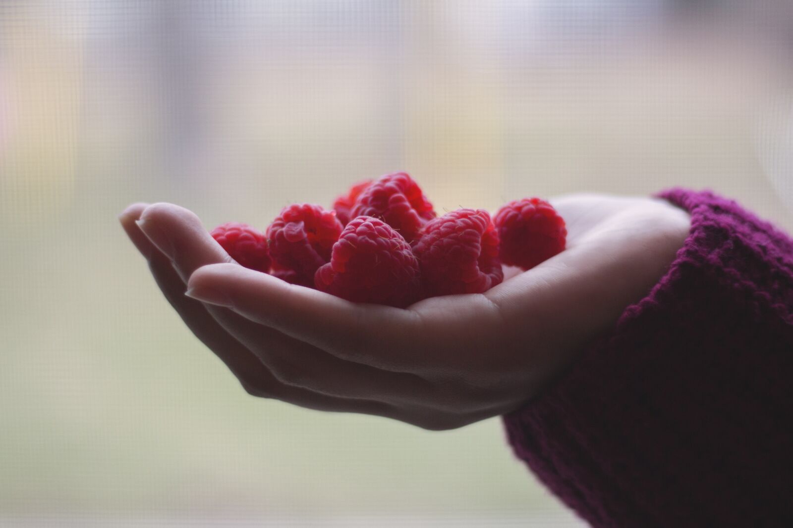 Canon EF 50mm F1.8 STM sample photo. Raspberries, fruits, woman photography