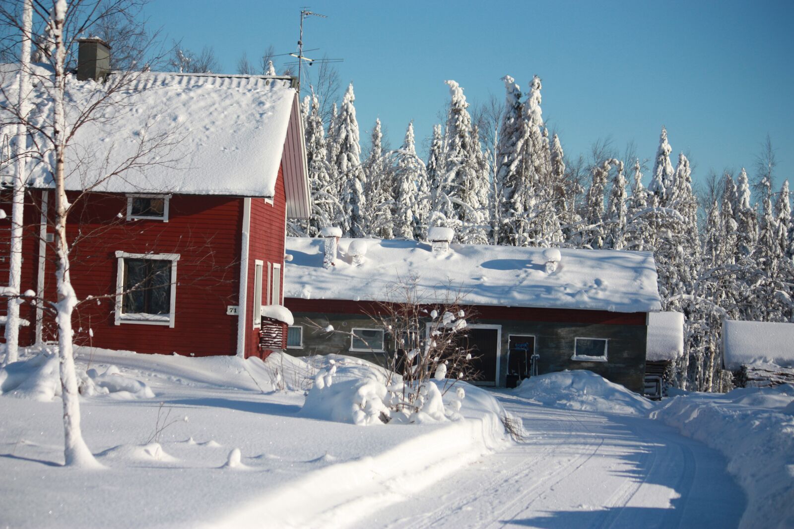 Canon EOS 450D (EOS Rebel XSi / EOS Kiss X2) sample photo. Finland, north, cold photography