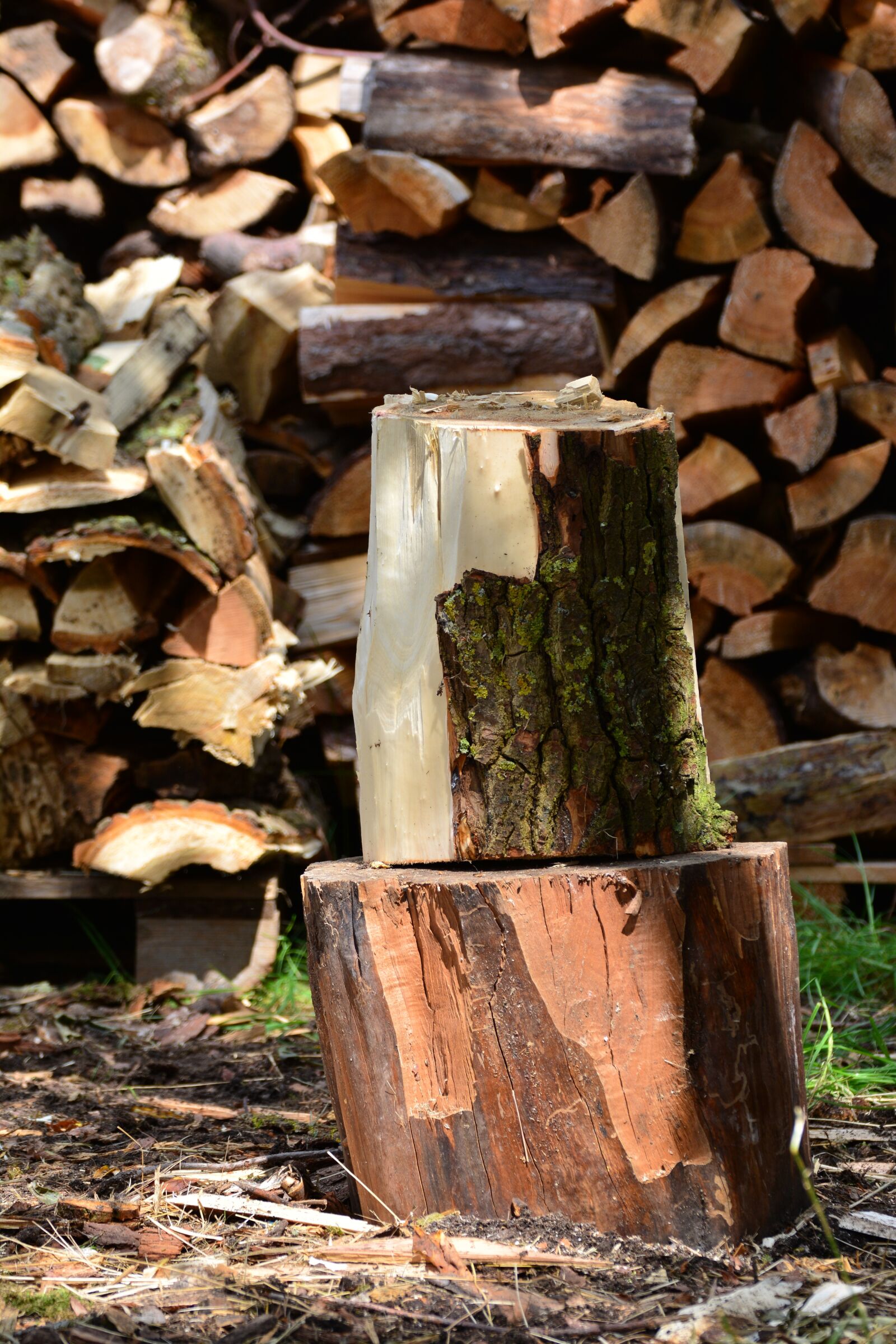 Nikon D5200 sample photo. Wood, firewood, chop wood photography