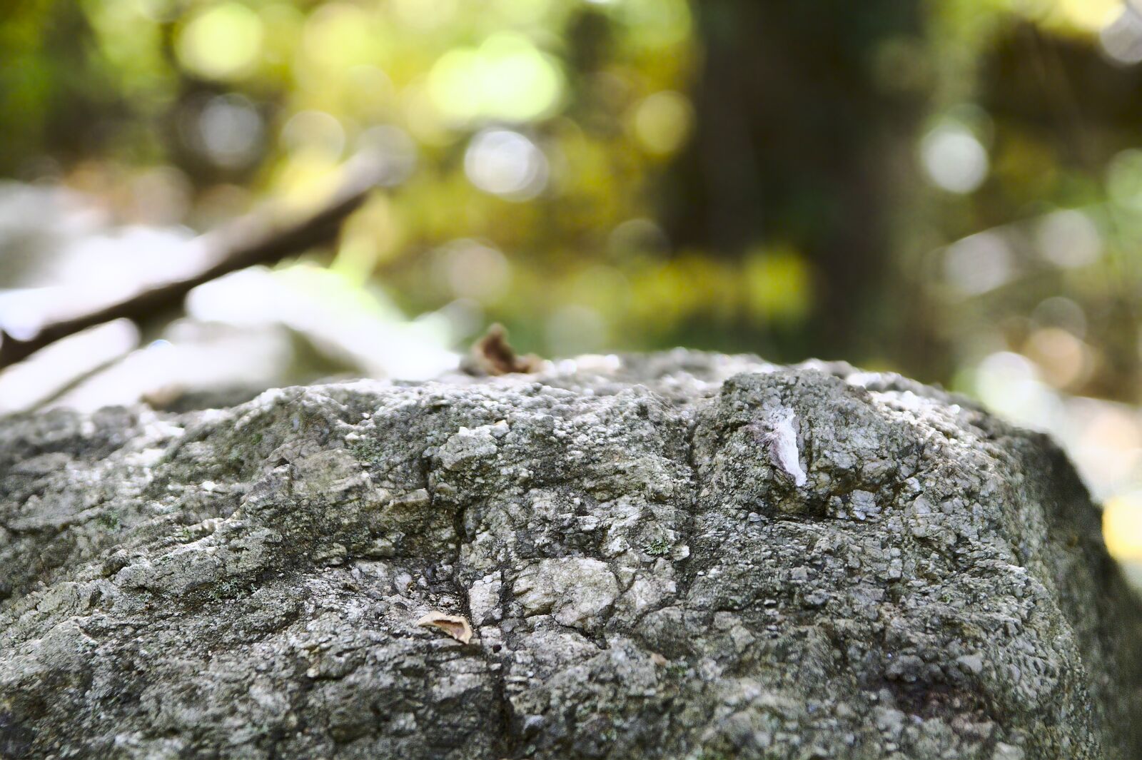 Canon EOS 7D sample photo. Rock, bokeh, nature photography