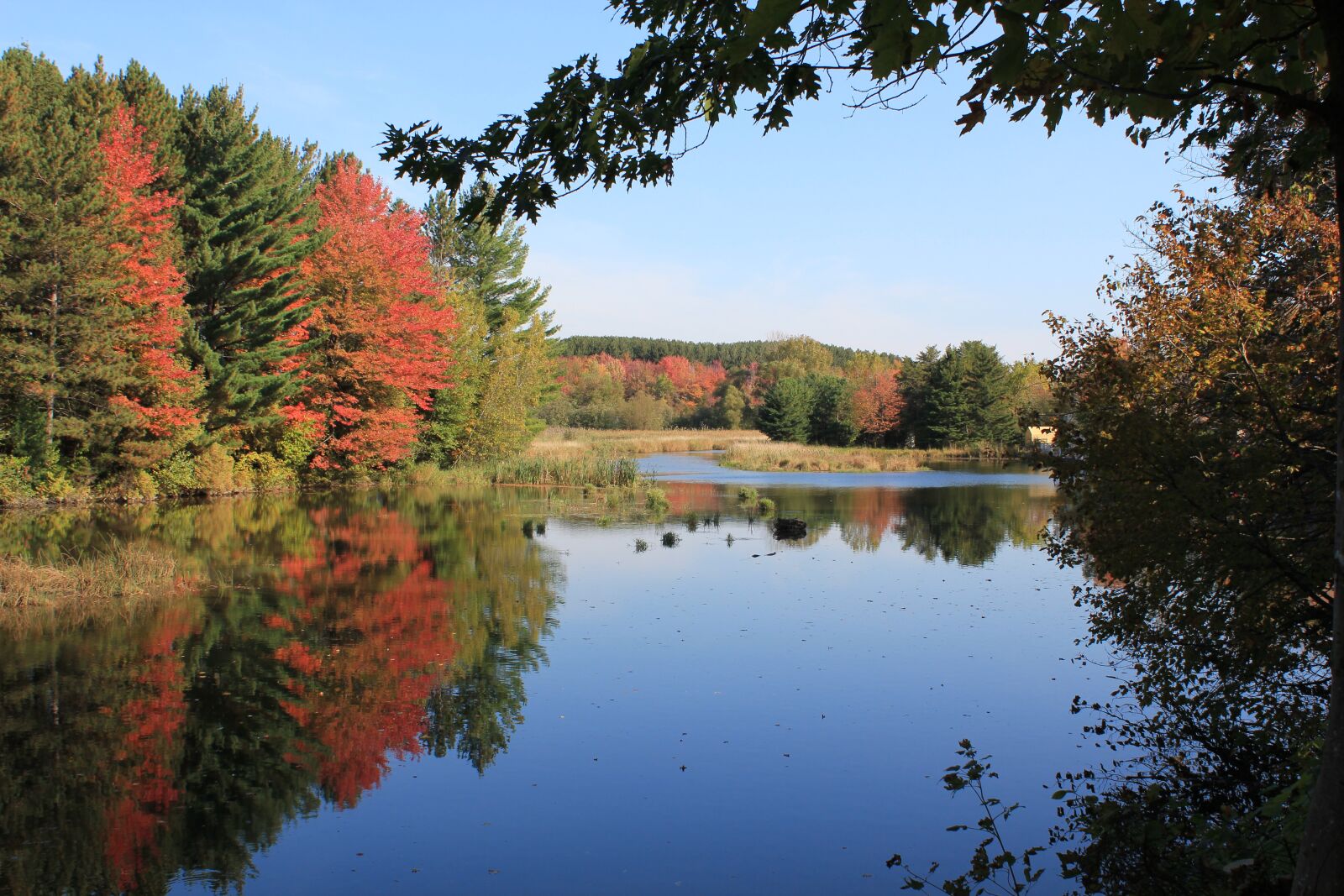 Canon EOS 550D (EOS Rebel T2i / EOS Kiss X4) sample photo. Autumn, canada, nature photography
