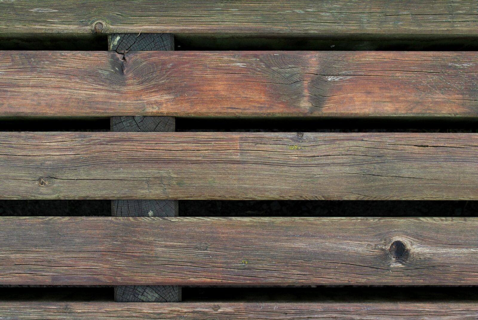 Canon EOS 1100D (EOS Rebel T3 / EOS Kiss X50) sample photo. Wood, planks, bench photography