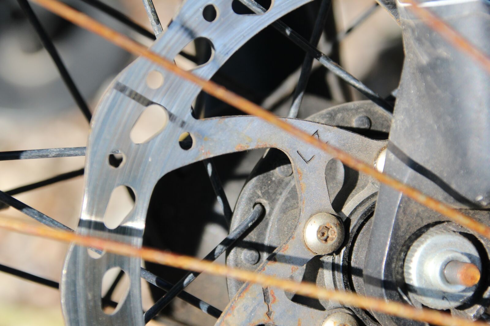 Canon EOS 1200D (EOS Rebel T5 / EOS Kiss X70 / EOS Hi) sample photo. Bike, spokes, brake photography