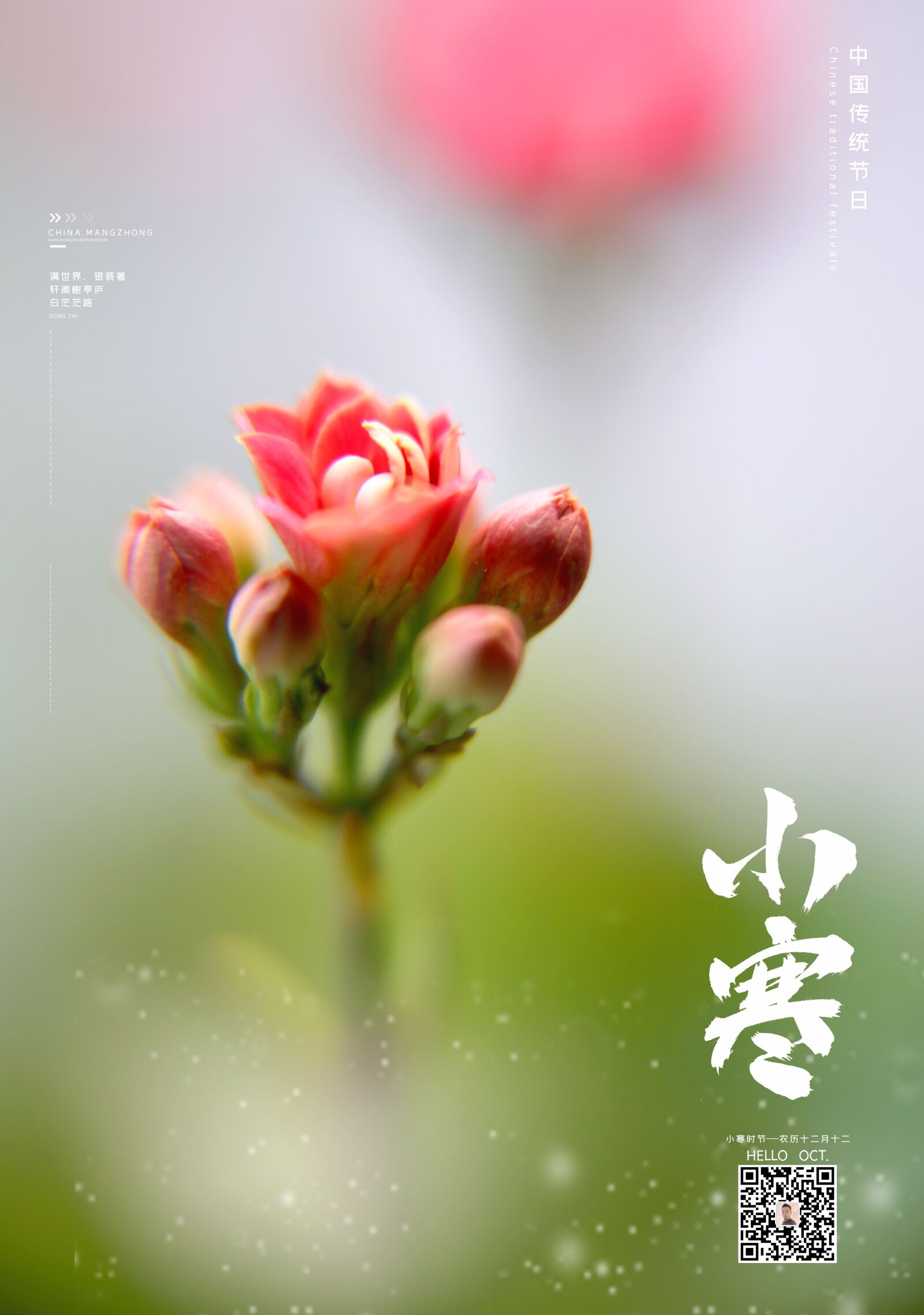 Canon EF 24-70mm F2.8L II USM sample photo. Kalanchoe, osamu throttle, chinese photography