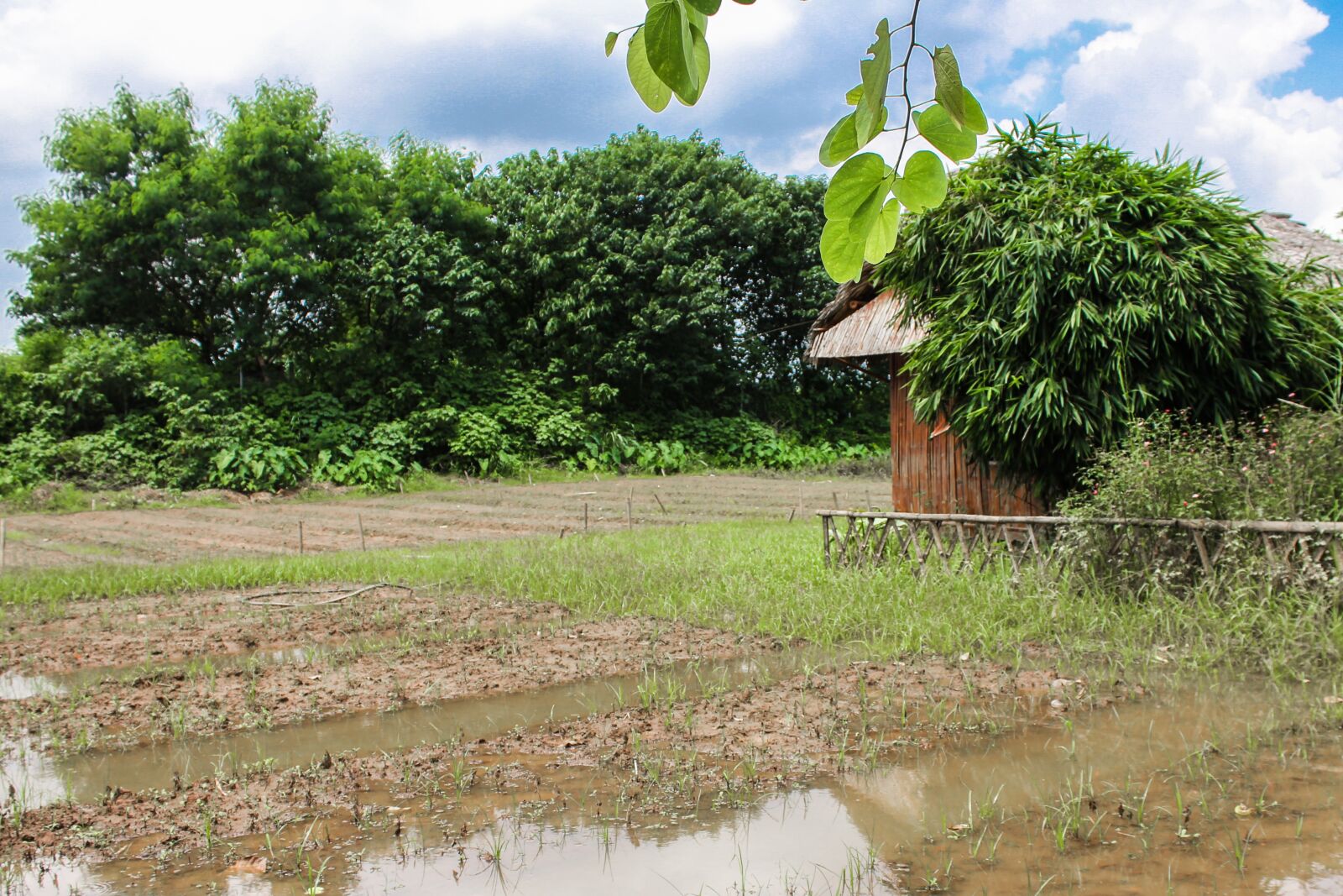 Canon EOS 60D sample photo. Country side, peace, quiet photography