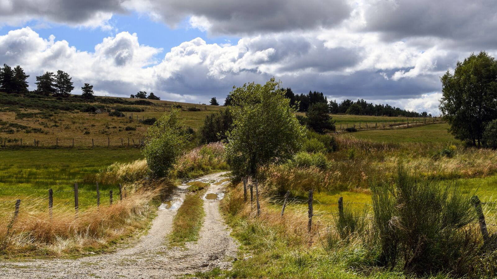Nikon D500 sample photo. Path, lozère, field photography