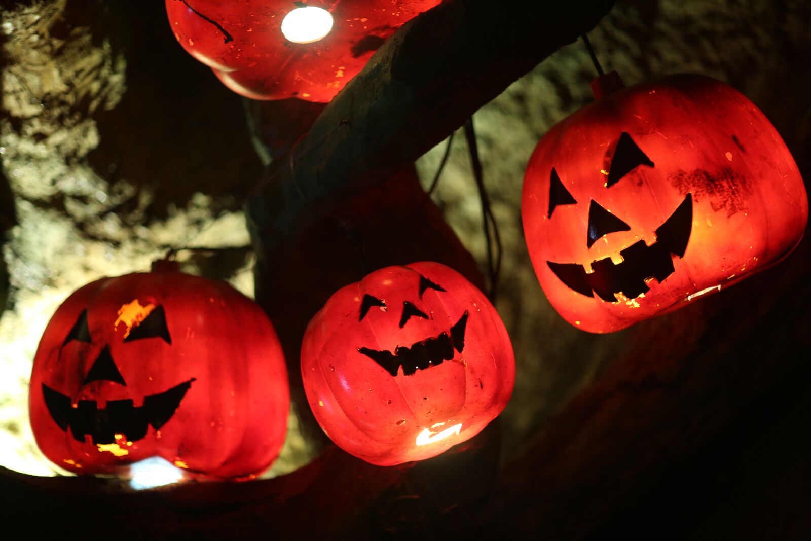 Canon EF 85mm F1.2L II USM sample photo. Jack-o-lantern, halloween, red photography