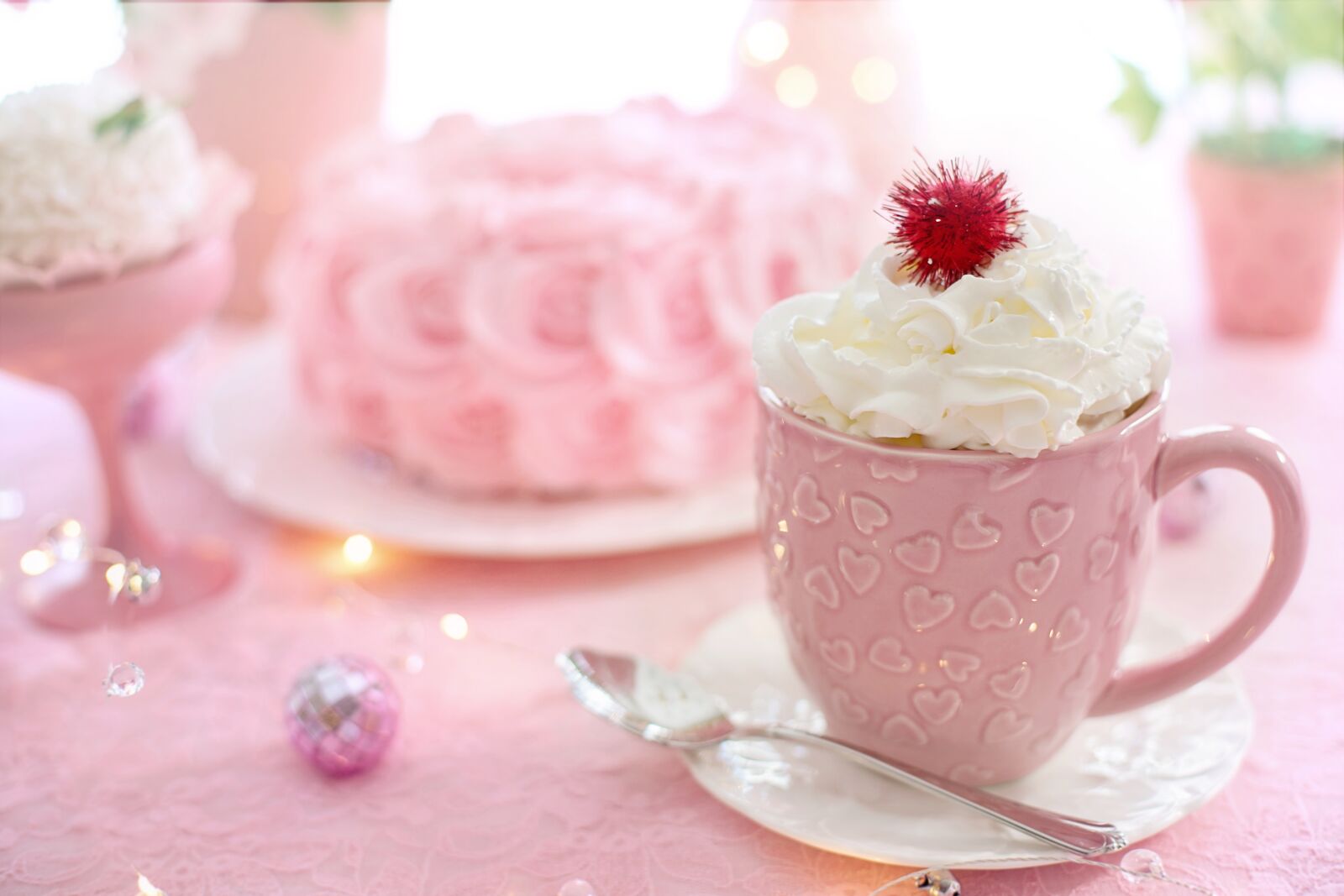 Canon EF 50mm F1.4 USM sample photo. Valentine, valentine's day, hearts photography