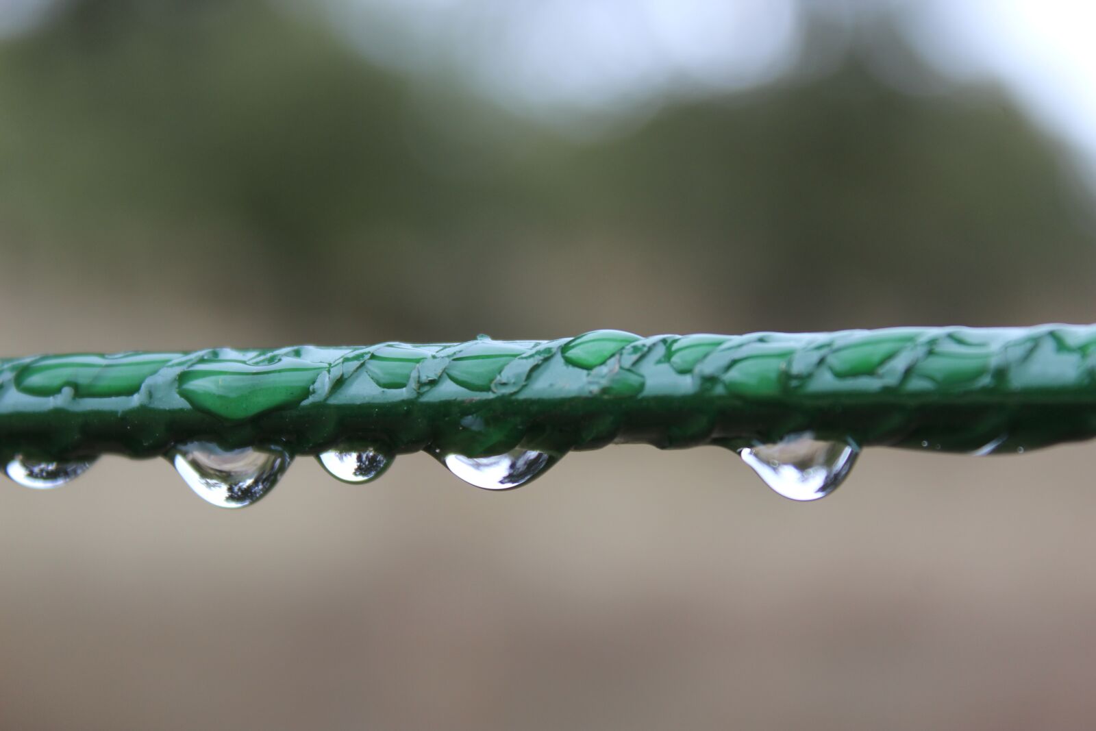 Canon EOS 1200D (EOS Rebel T5 / EOS Kiss X70 / EOS Hi) sample photo. Drops of water, rain photography