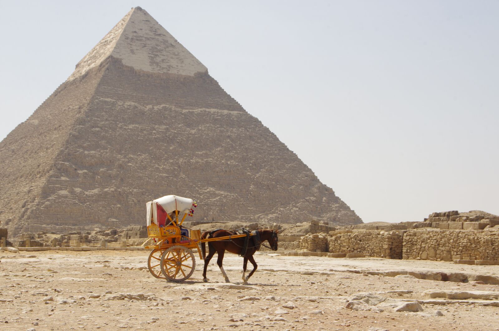Pentax K-r sample photo. Camel, desert, pyramid photography